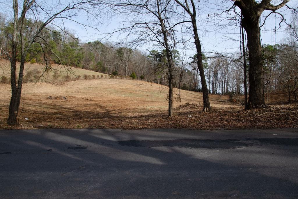 1788 Sand Plant Road Sevierville, TN 37876 - Photo 2 of 10 Gallery Image 2