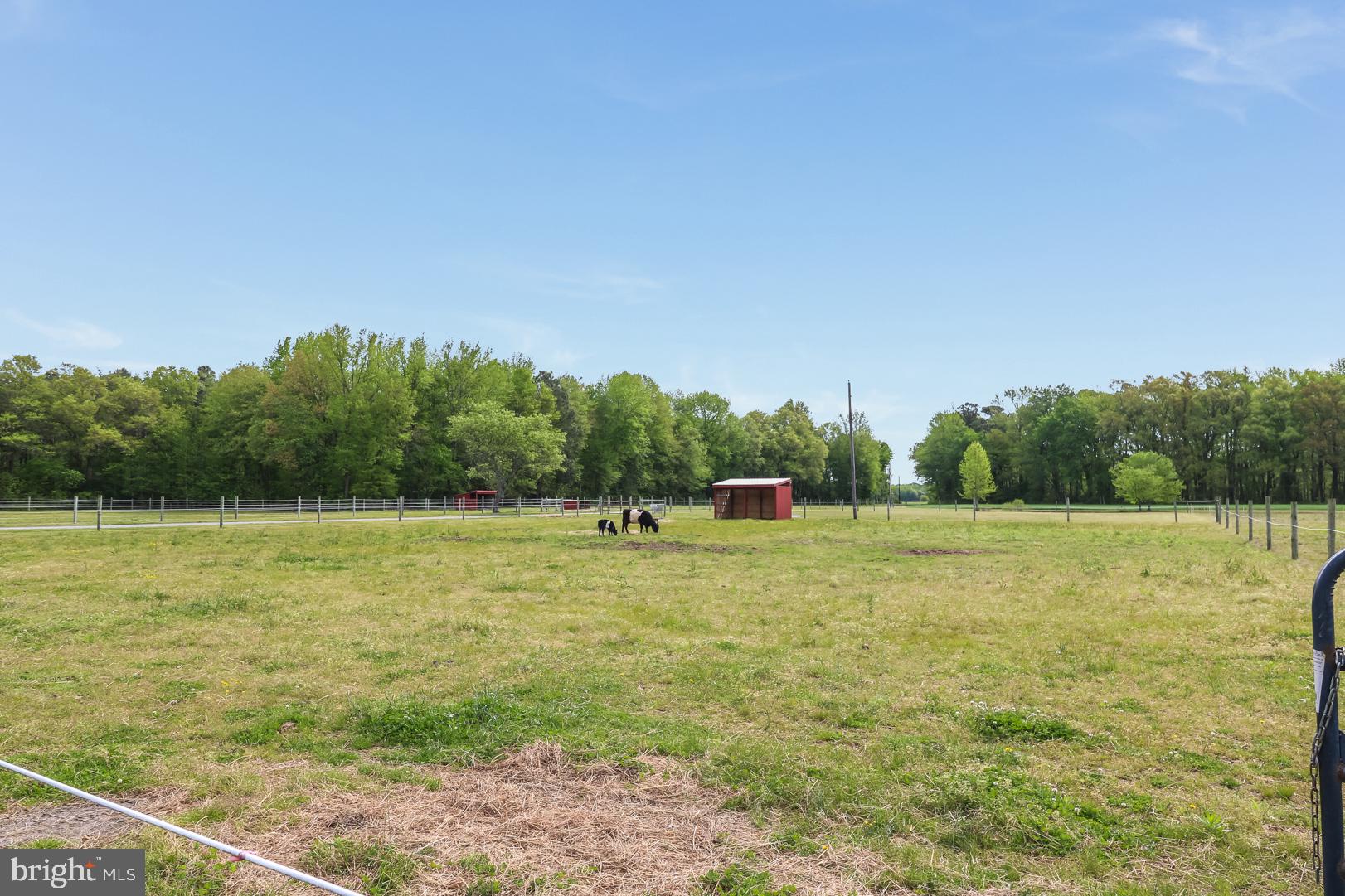 6216 Laurel Grove Road Denton, MD 21629 - Photo 41 of 42 Gallery Image 41