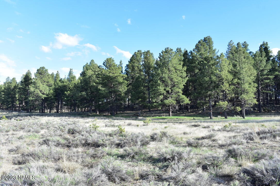 13508 East Spring Valley Road Parks, AZ 86018 - Photo 11 of 16 2C2EDD66-31D0-4F56-A0D8-0A7A28787793_1_1