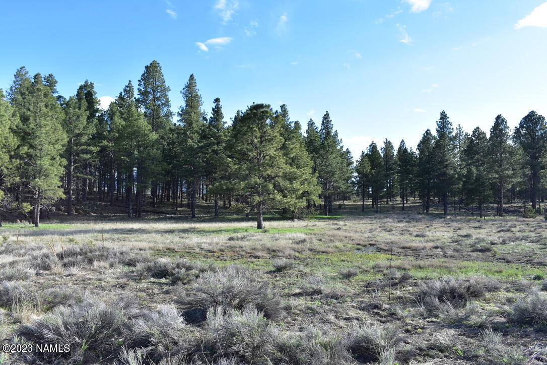 13508 East Spring Valley Road Parks, AZ 86018 - Photo 12 of 16 899E9ECC-66F7-409D-B371-B604161BB275_1_1