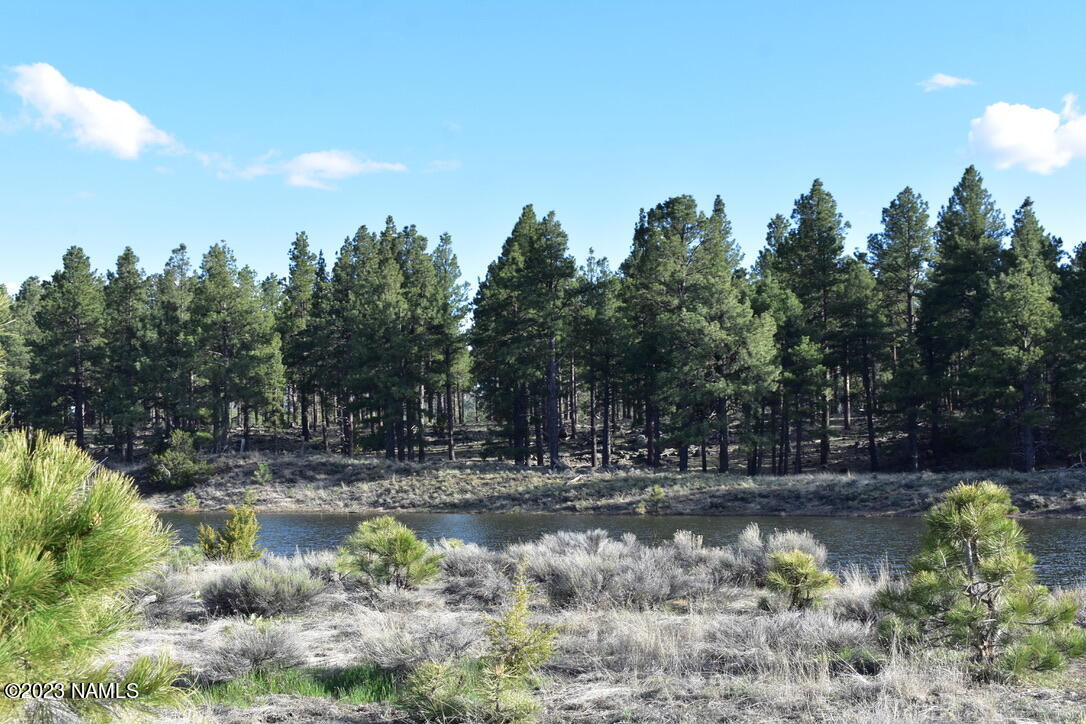 13508 East Spring Valley Road Parks, AZ 86018 - Photo 9 of 16 F565F79E-504C-46B1-A85C-6650FECA3BED_1_1