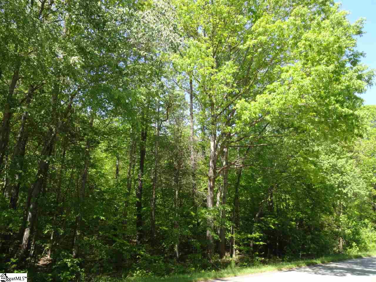 South Harrison Bridge Road Simpsonville, SC 29680 - Photo 23 of 29 Gallery Image 23