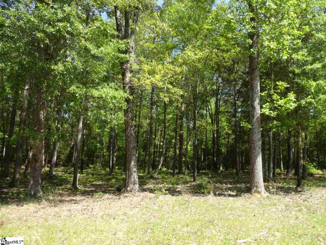South Harrison Bridge Road Simpsonville, SC 29680 - Photo 10 of 29 Gallery Image 10