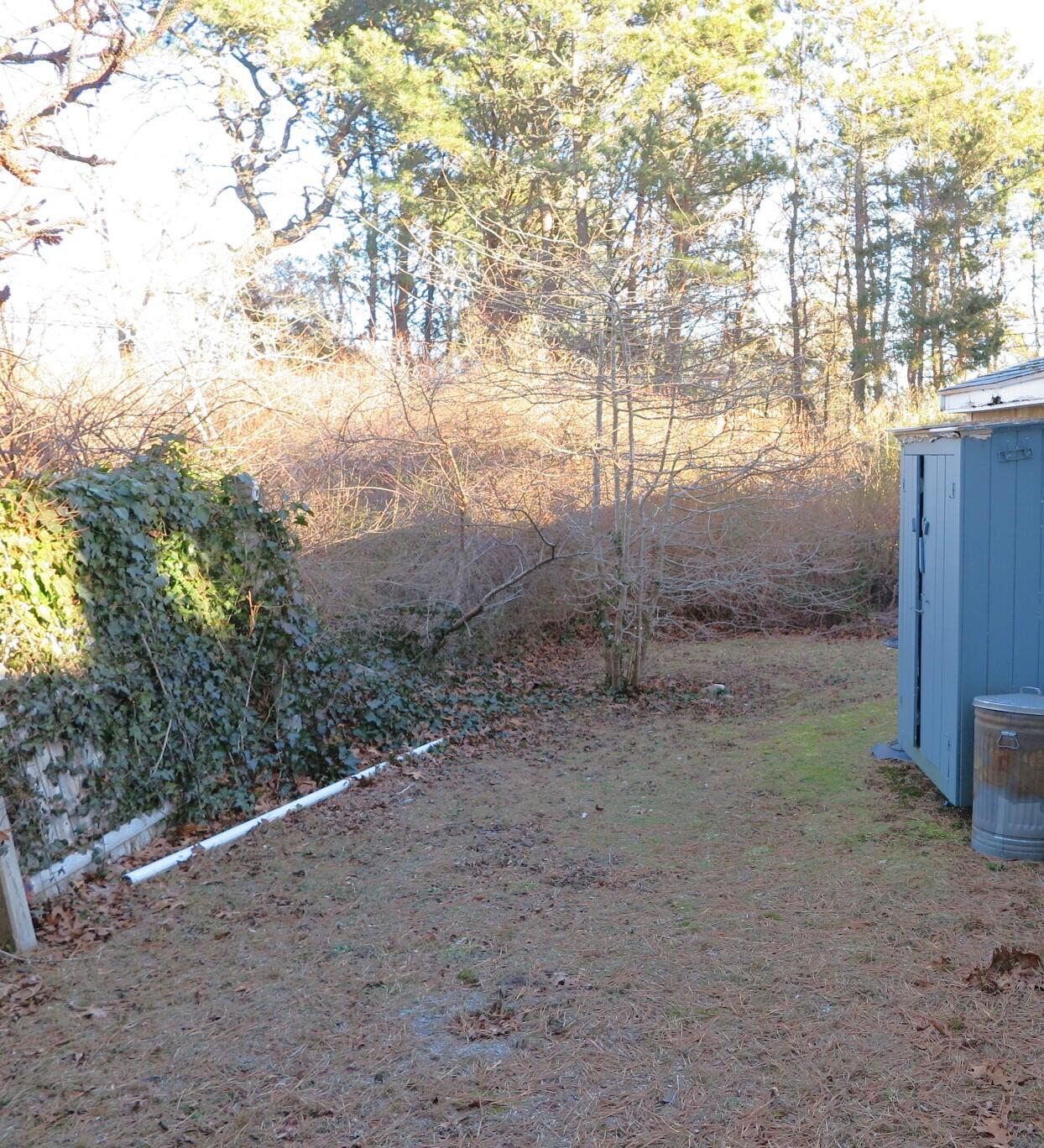 50 Lower County Road Dennis Port, MA 02639 - Photo 27 of 28 a view of a yard with a tree