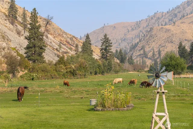 a view of a yard with plants