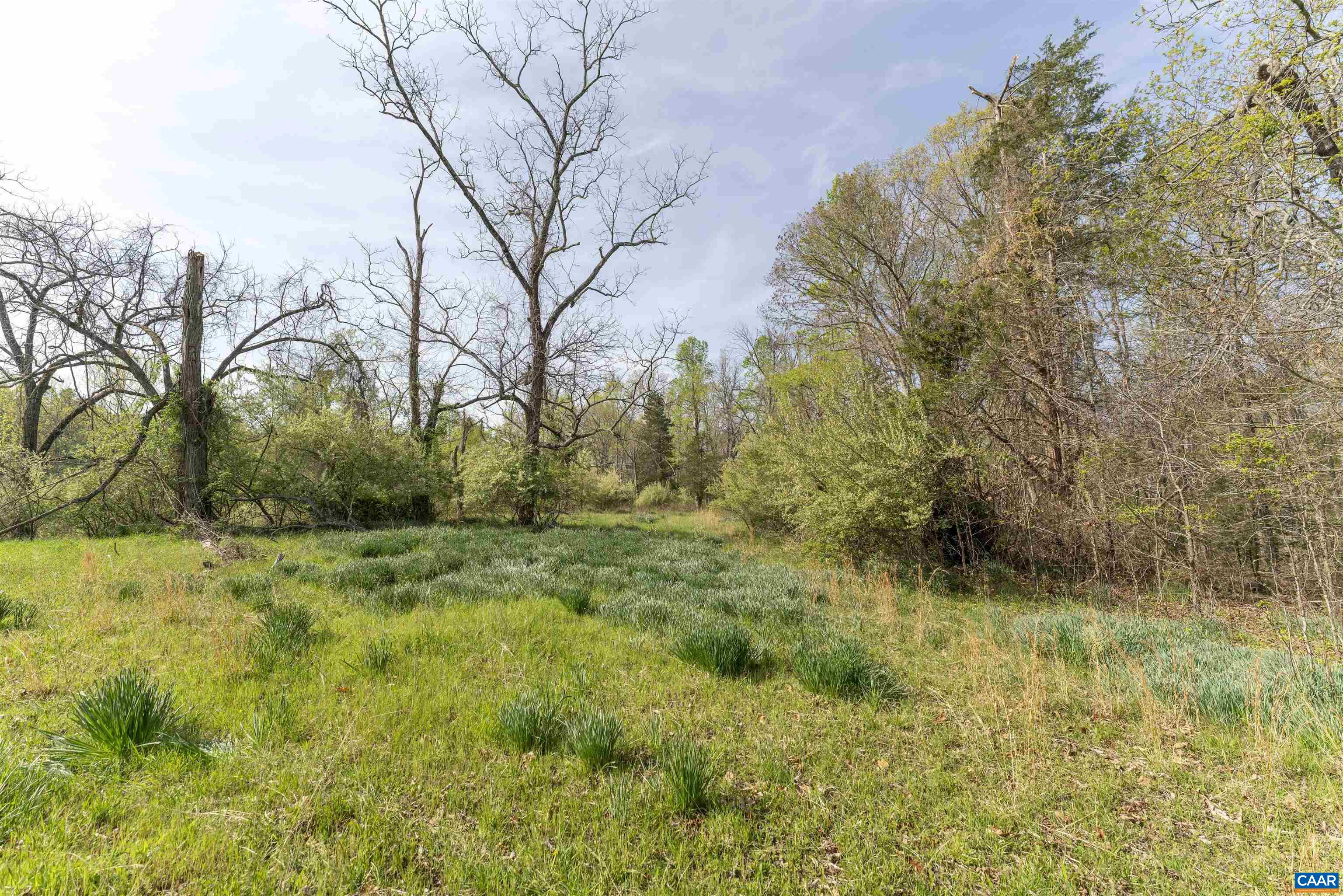 Tbd Black Hill Road Rixeyville, VA 22737 - Photo 12 of 40