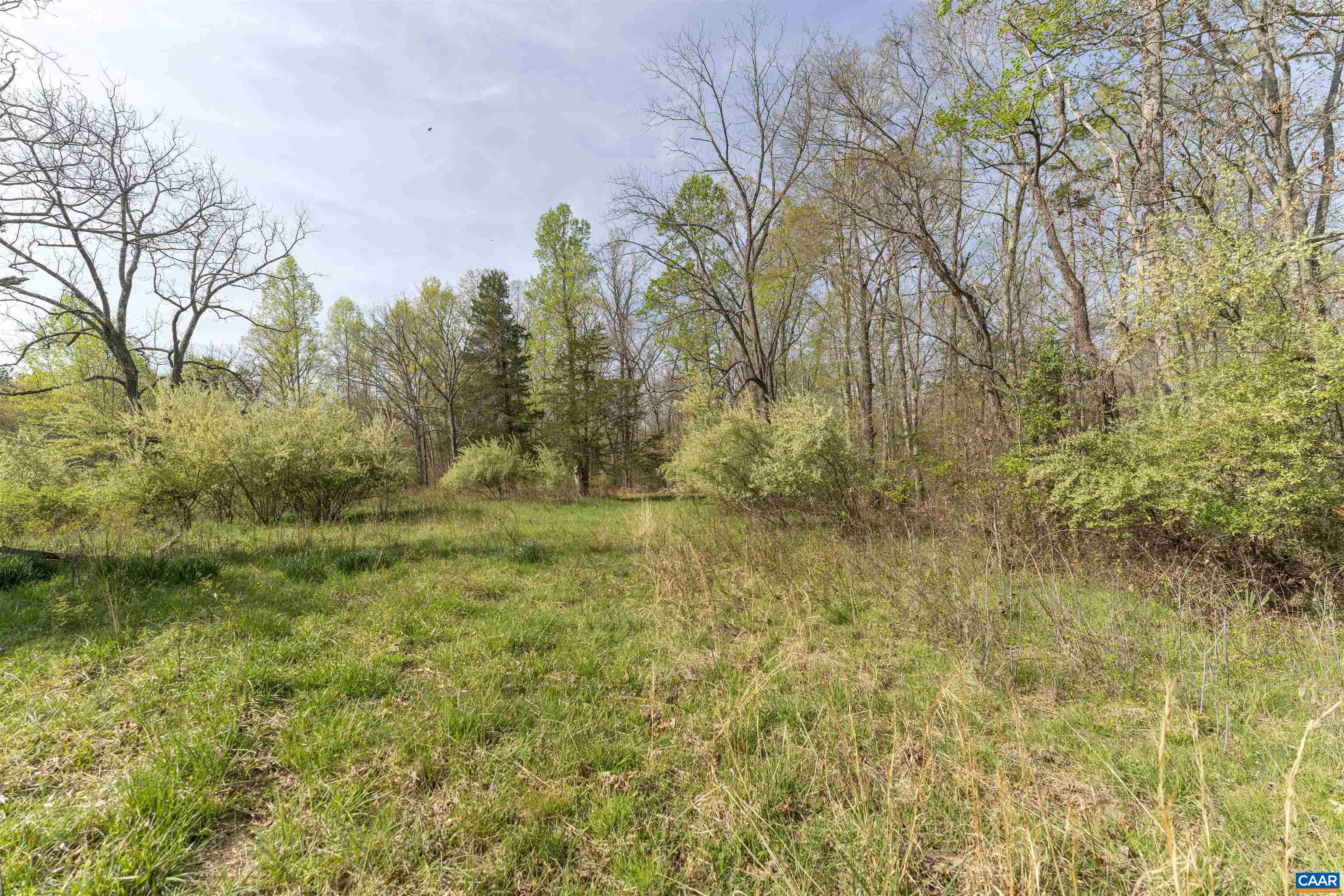 Tbd Black Hill Road Rixeyville, VA 22737 - Photo 13 of 40