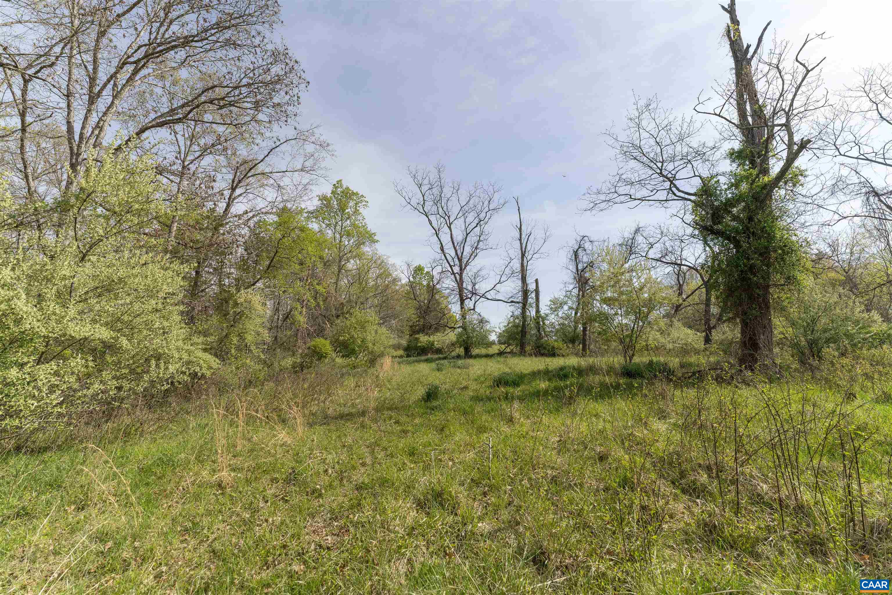 Tbd Black Hill Road Rixeyville, VA 22737 - Photo 14 of 40
