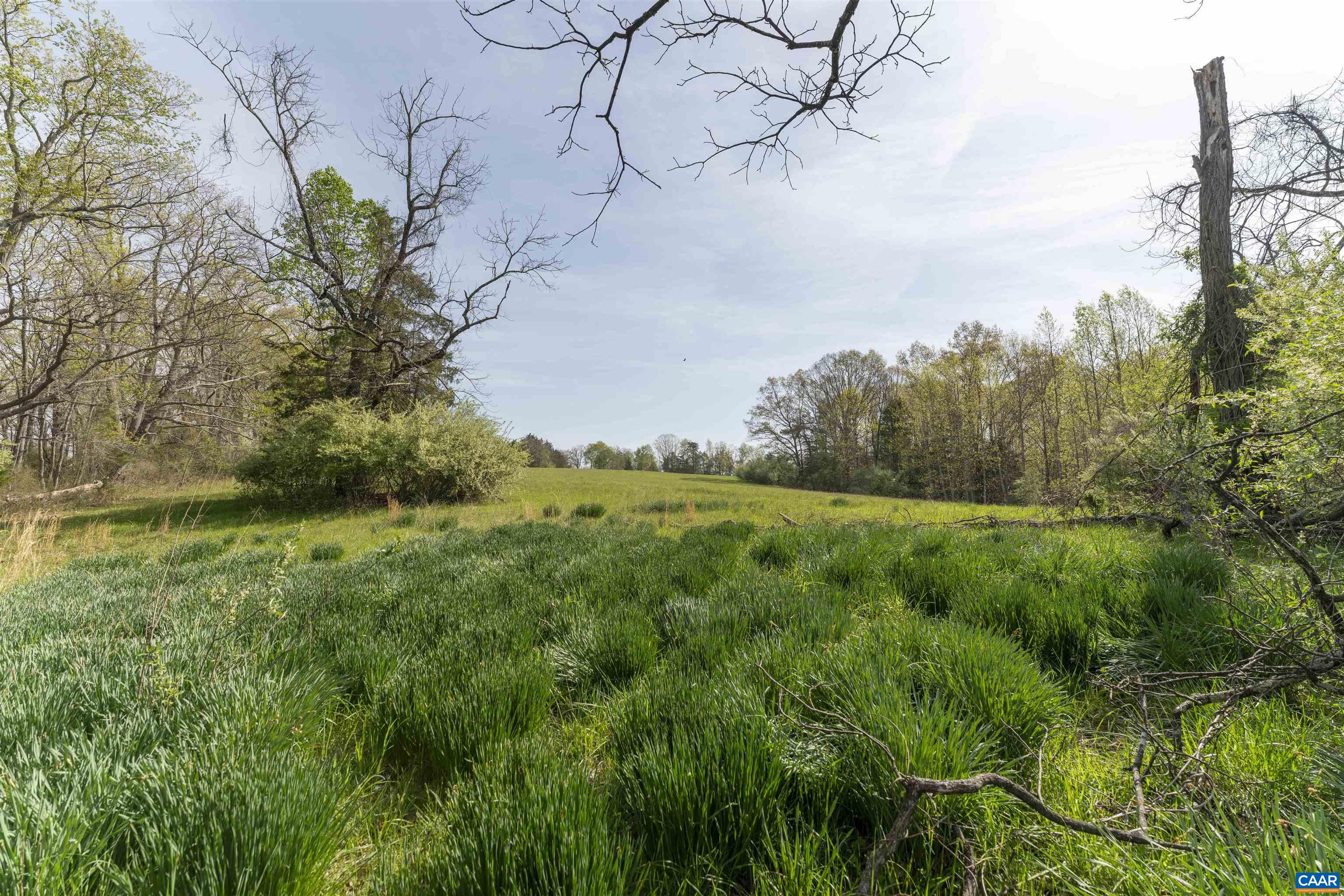 Tbd Black Hill Road Rixeyville, VA 22737 - Photo 15 of 40
