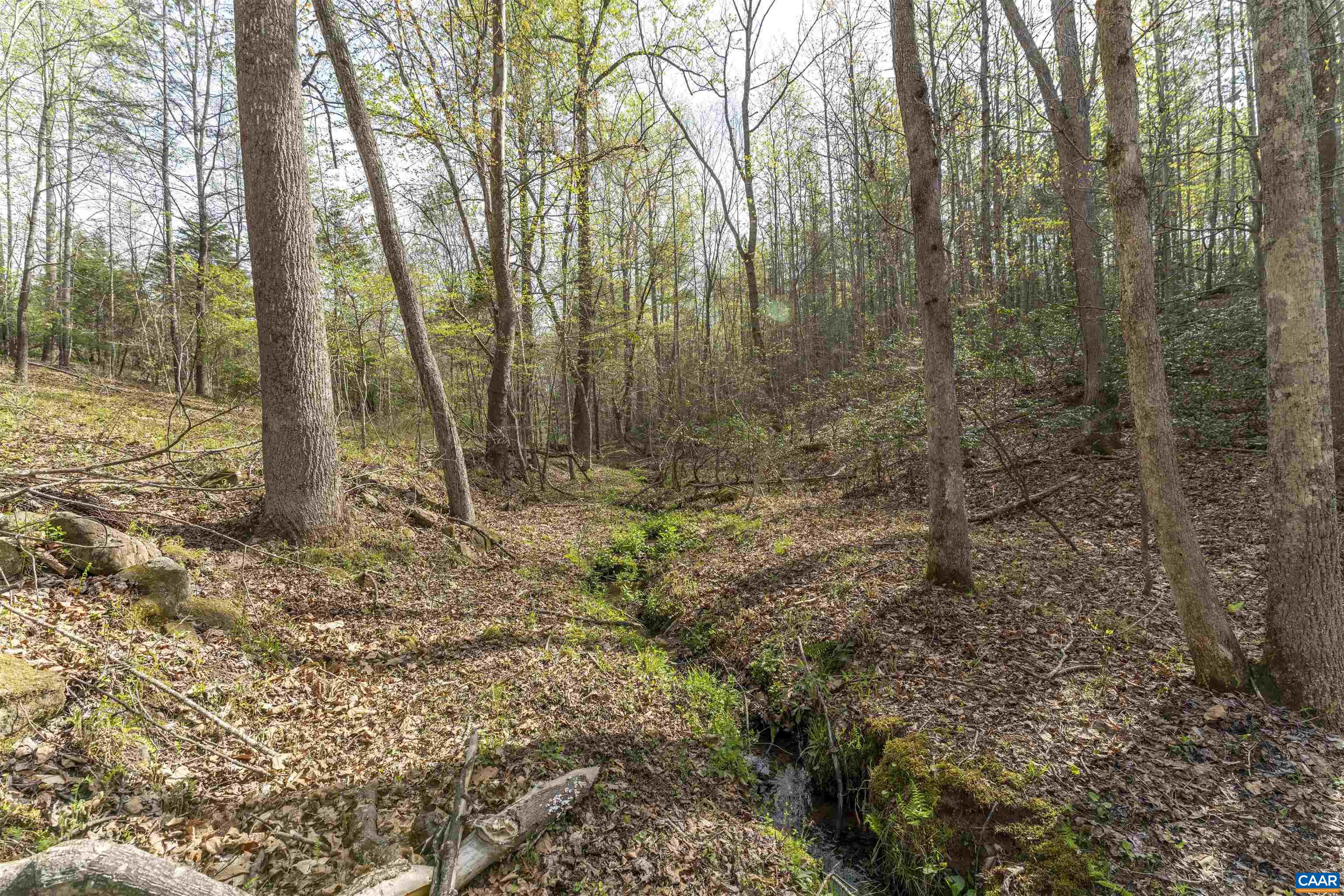 Tbd Black Hill Road Rixeyville, VA 22737 - Photo 16 of 40