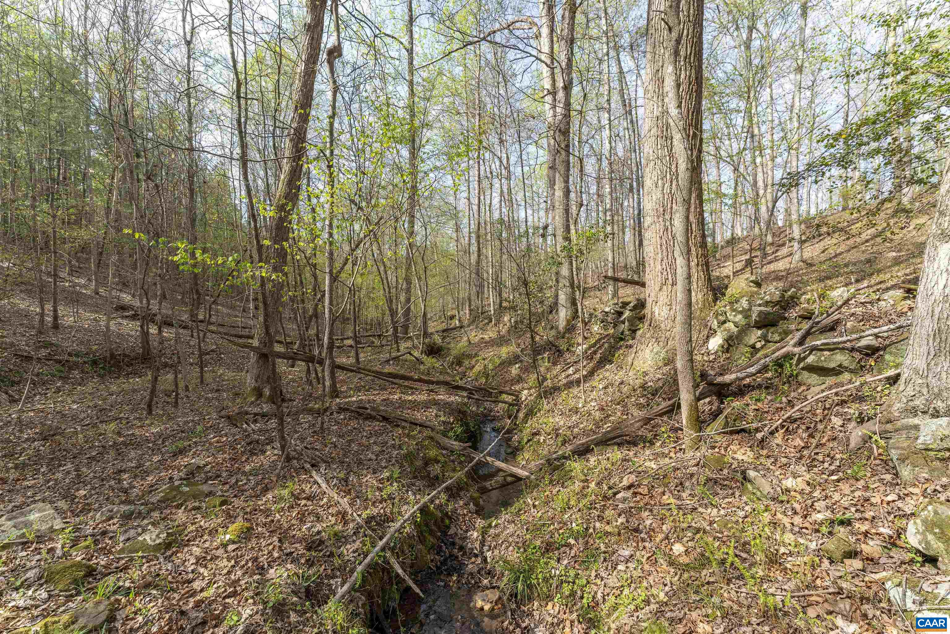 Tbd Black Hill Road Rixeyville, VA 22737 - Photo 17 of 40