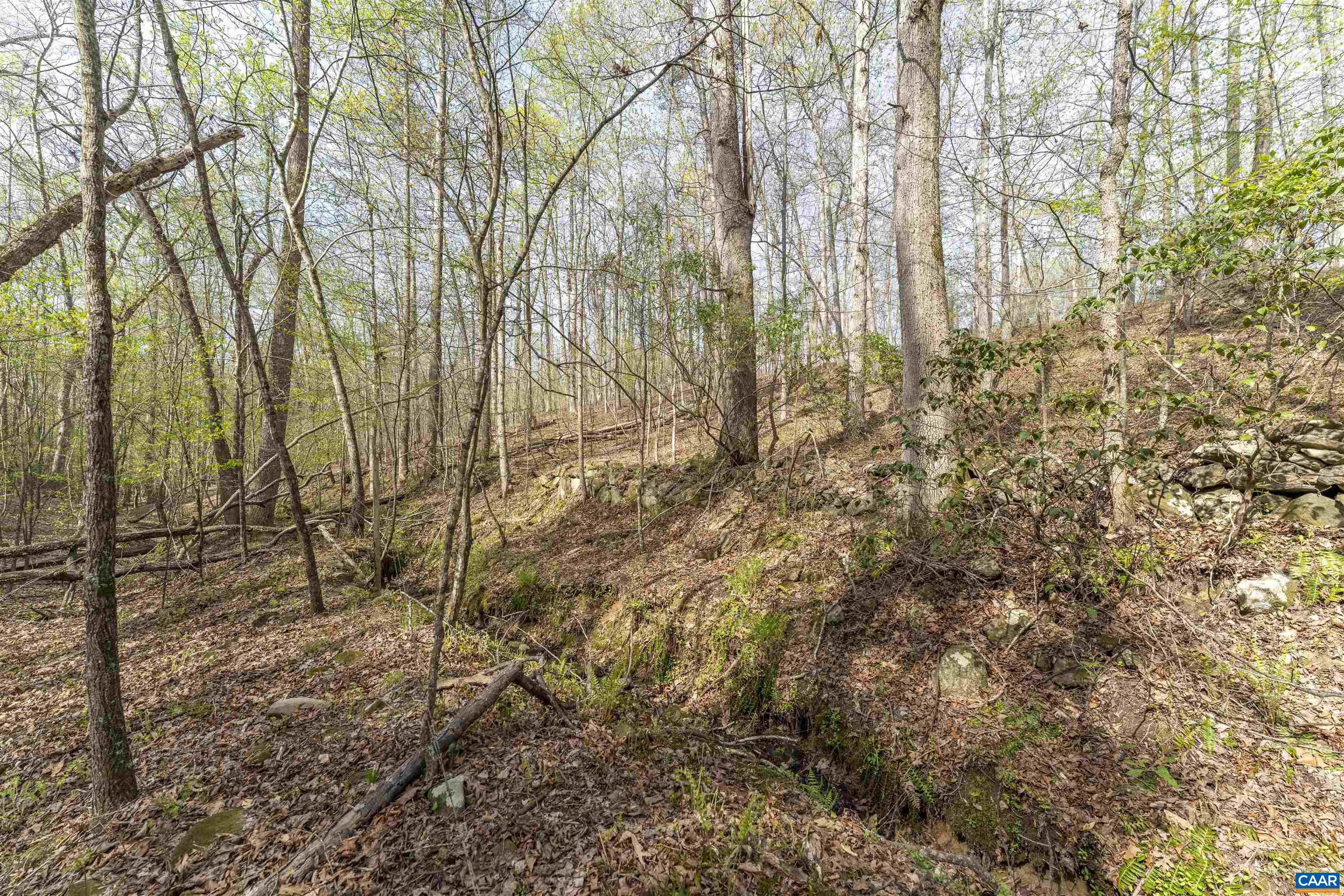 Tbd Black Hill Road Rixeyville, VA 22737 - Photo 18 of 40