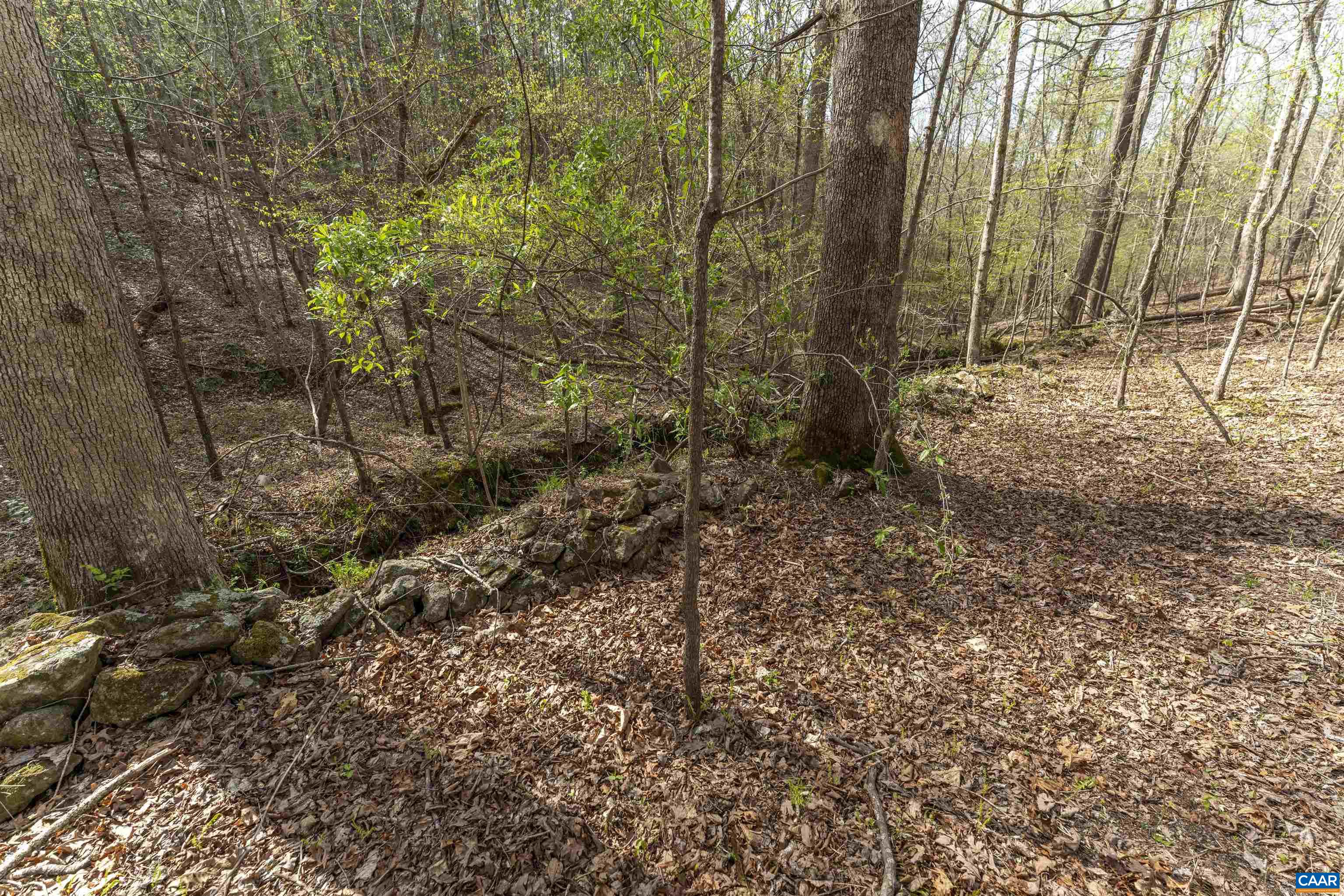 Tbd Black Hill Road Rixeyville, VA 22737 - Photo 19 of 40