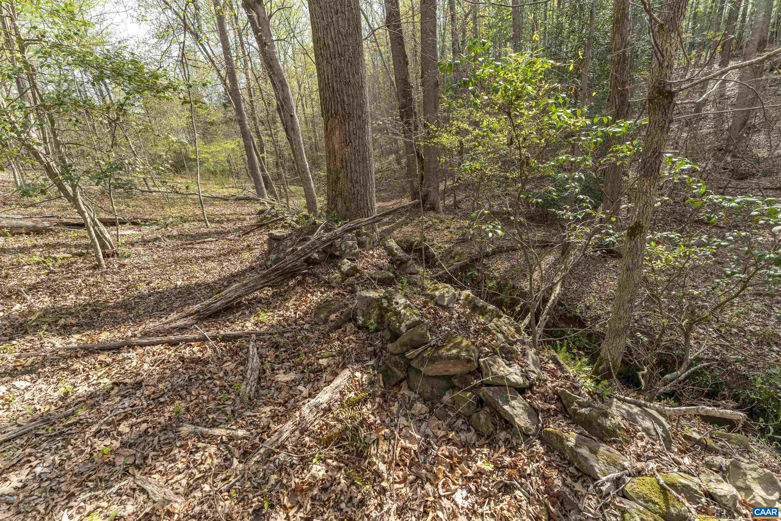 Tbd Black Hill Road Rixeyville, VA 22737 - Photo 20 of 40