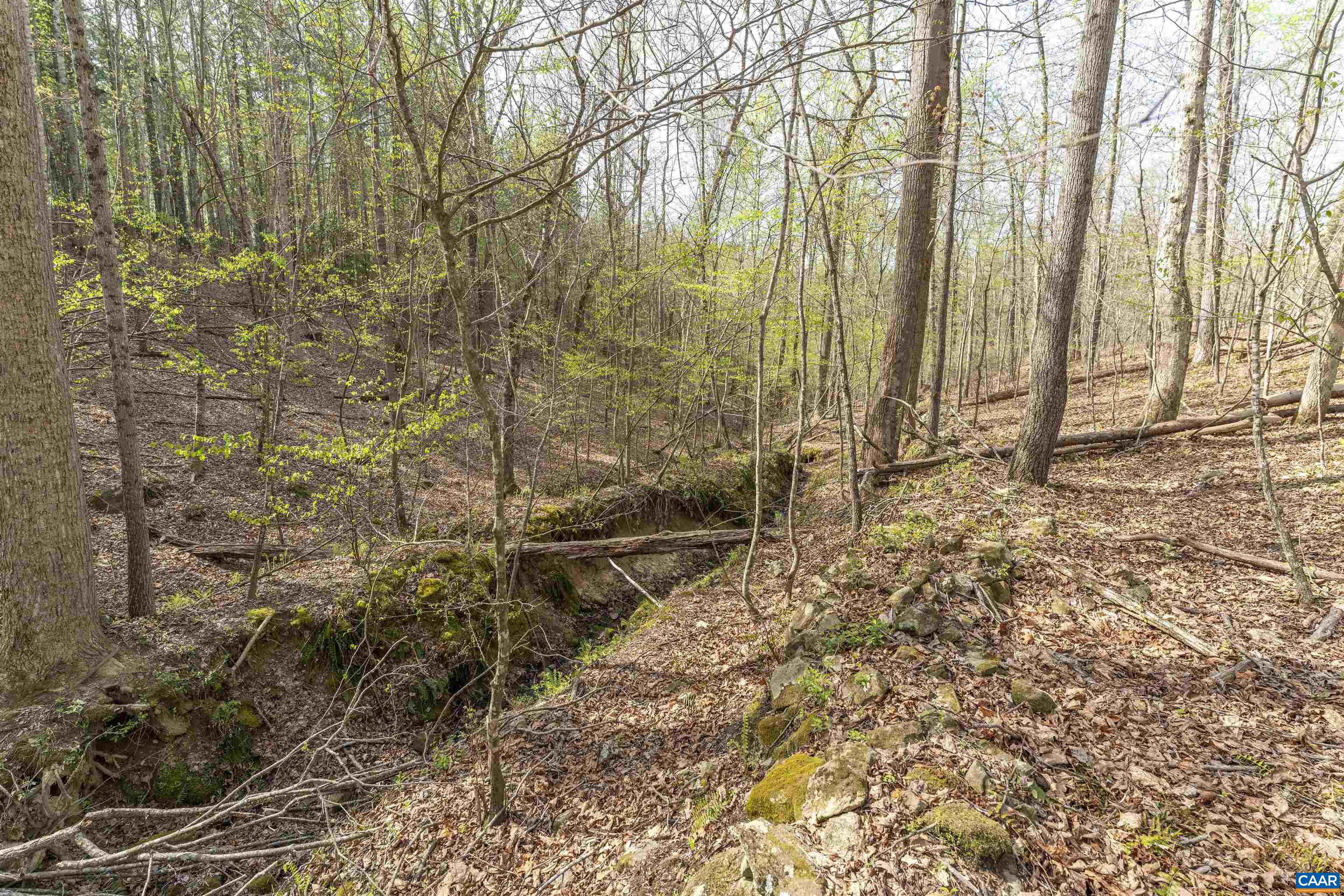 Tbd Black Hill Road Rixeyville, VA 22737 - Photo 22 of 40