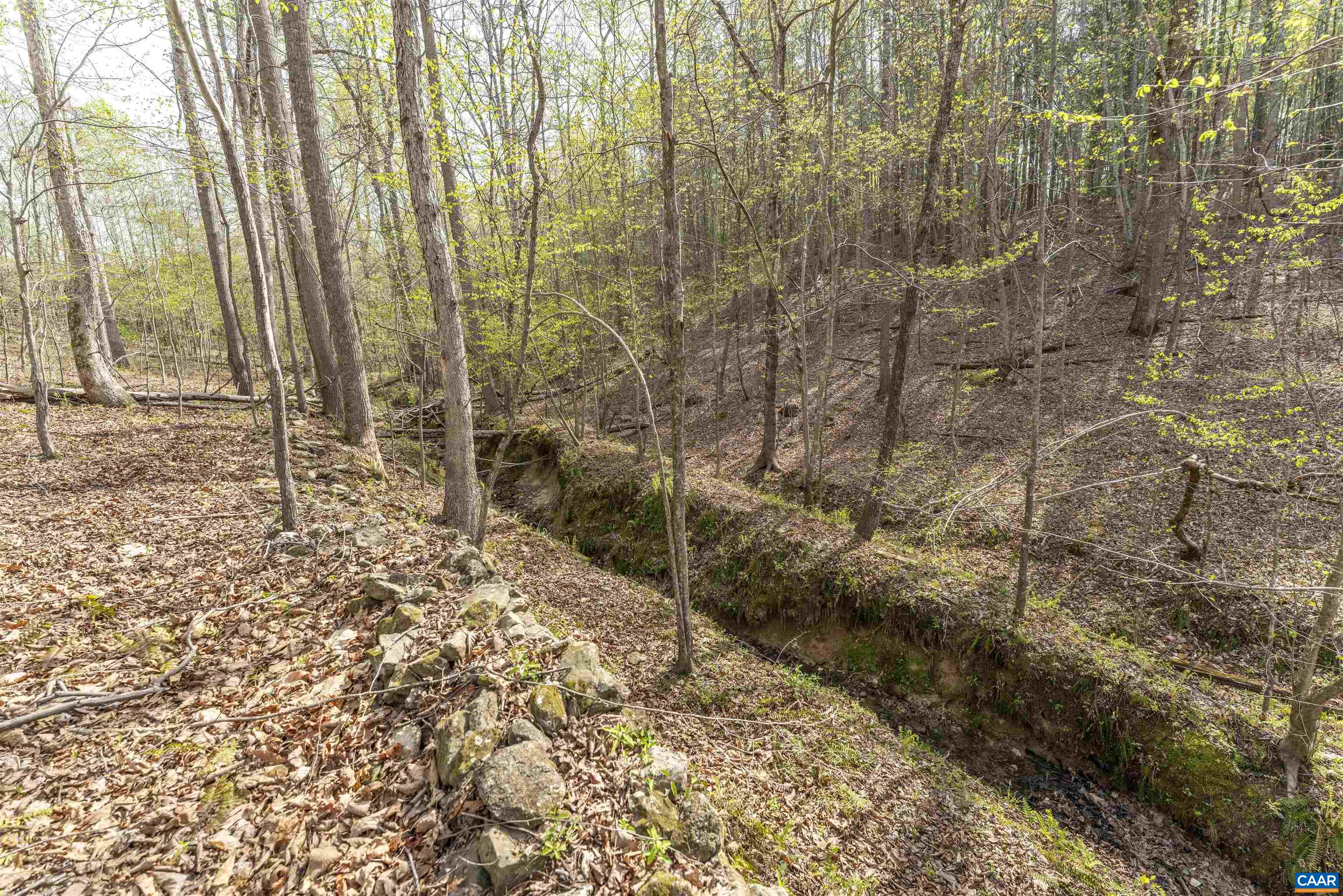 Tbd Black Hill Road Rixeyville, VA 22737 - Photo 24 of 40