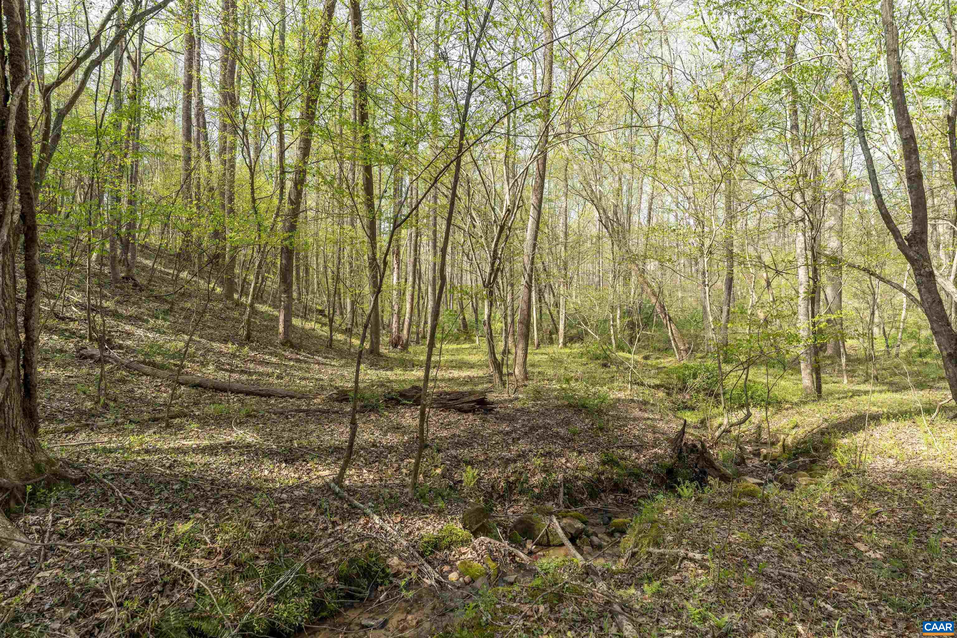 Tbd Black Hill Road Rixeyville, VA 22737 - Photo 26 of 40