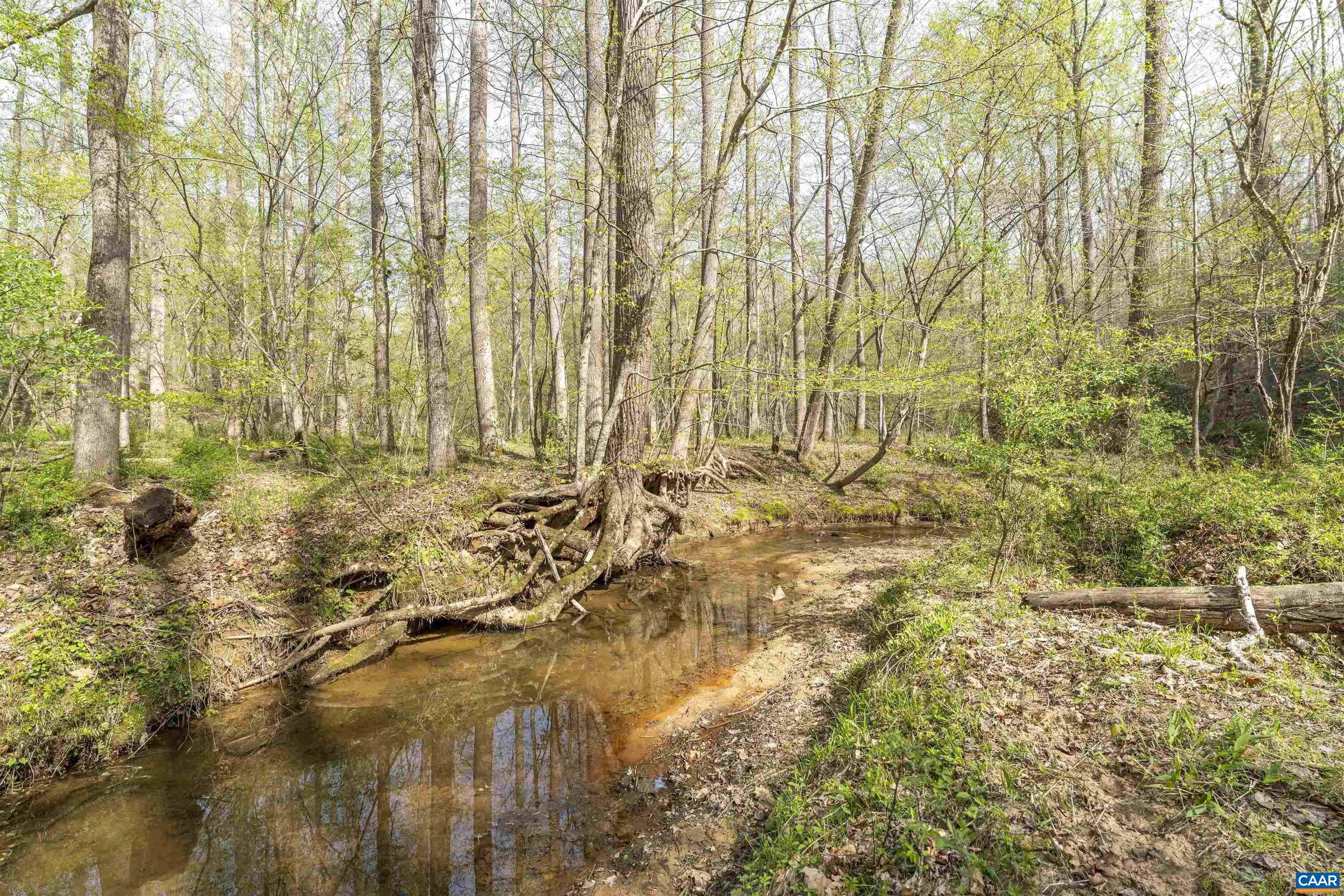 Tbd Black Hill Road Rixeyville, VA 22737 - Photo 27 of 40