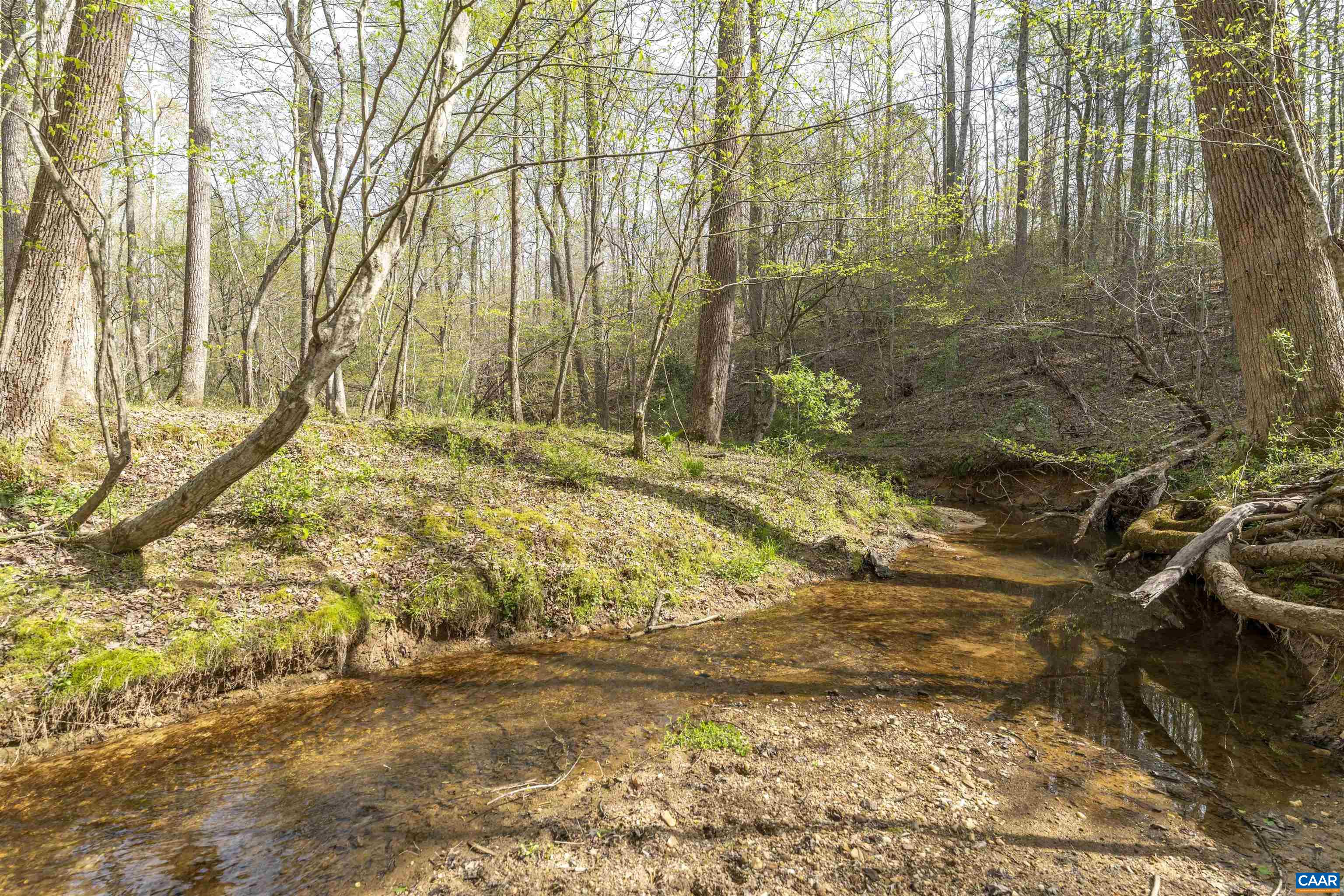 Tbd Black Hill Road Rixeyville, VA 22737 - Photo 28 of 40