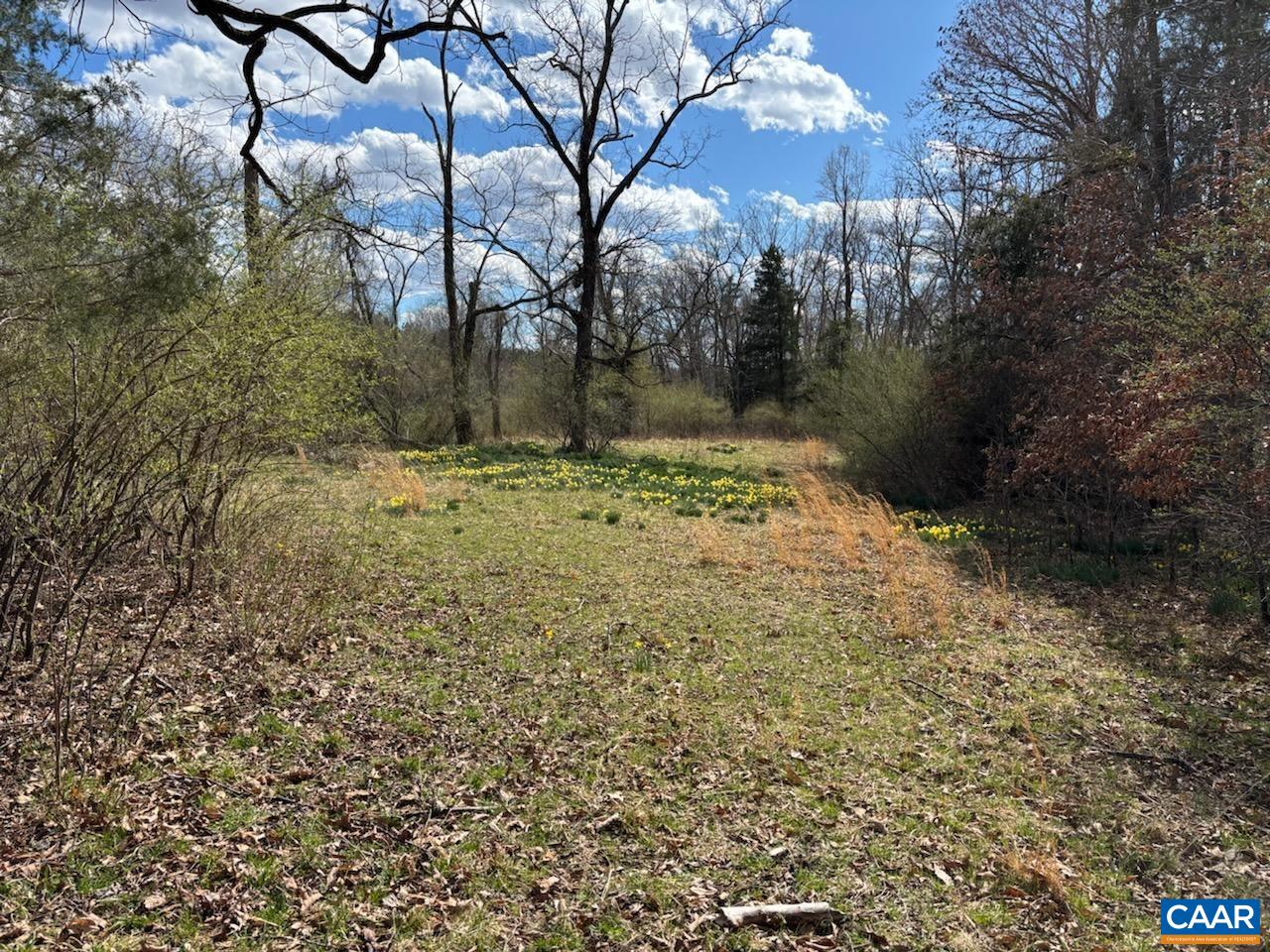 Tbd Black Hill Road Rixeyville, VA 22737 - Photo 36 of 40
