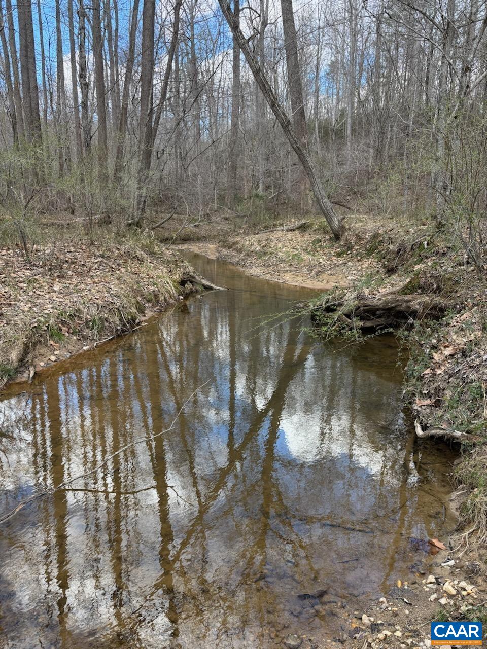 Tbd Black Hill Road Rixeyville, VA 22737 - Photo 39 of 40