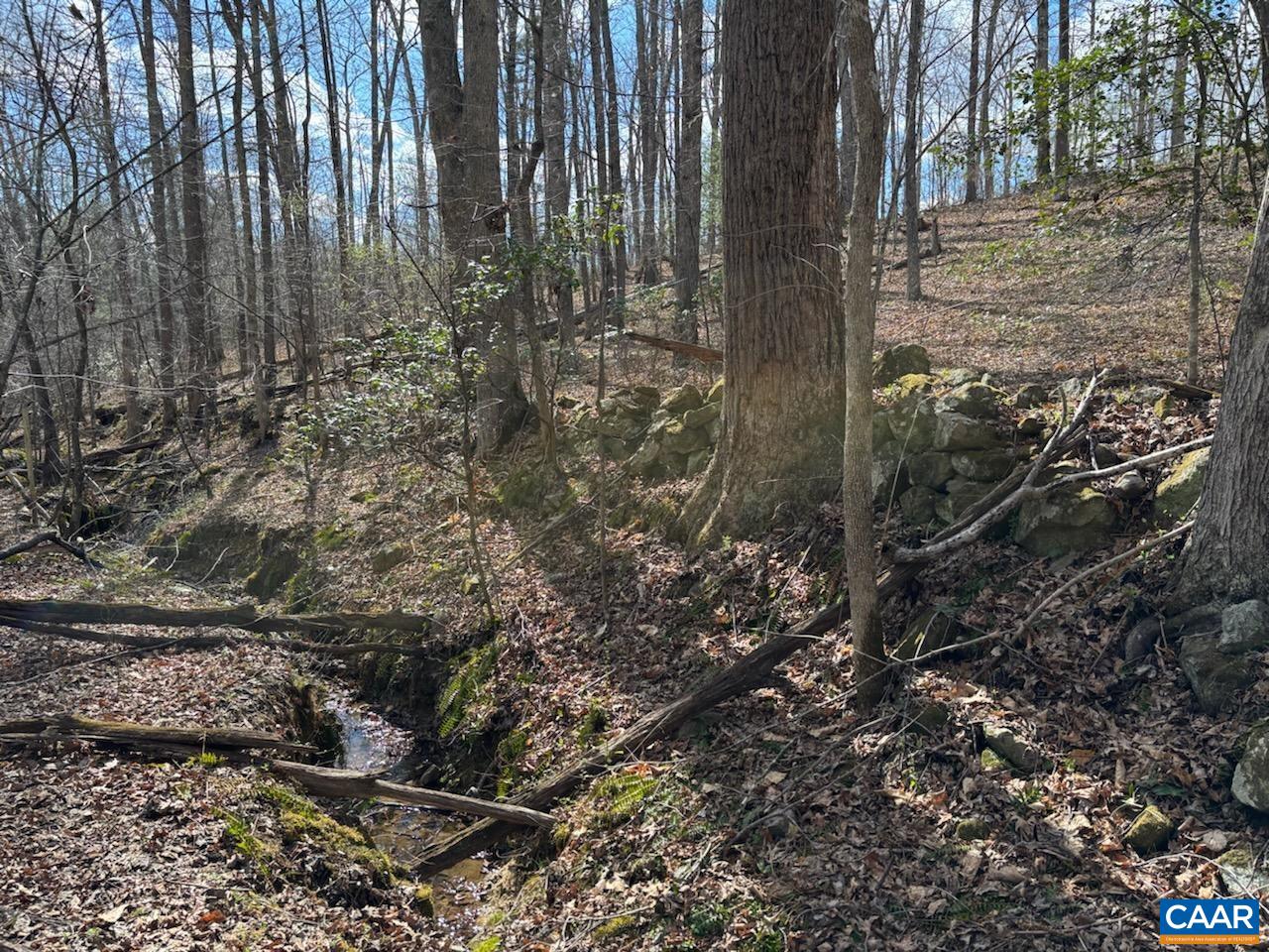 Tbd Black Hill Road Rixeyville, VA 22737 - Photo 40 of 40