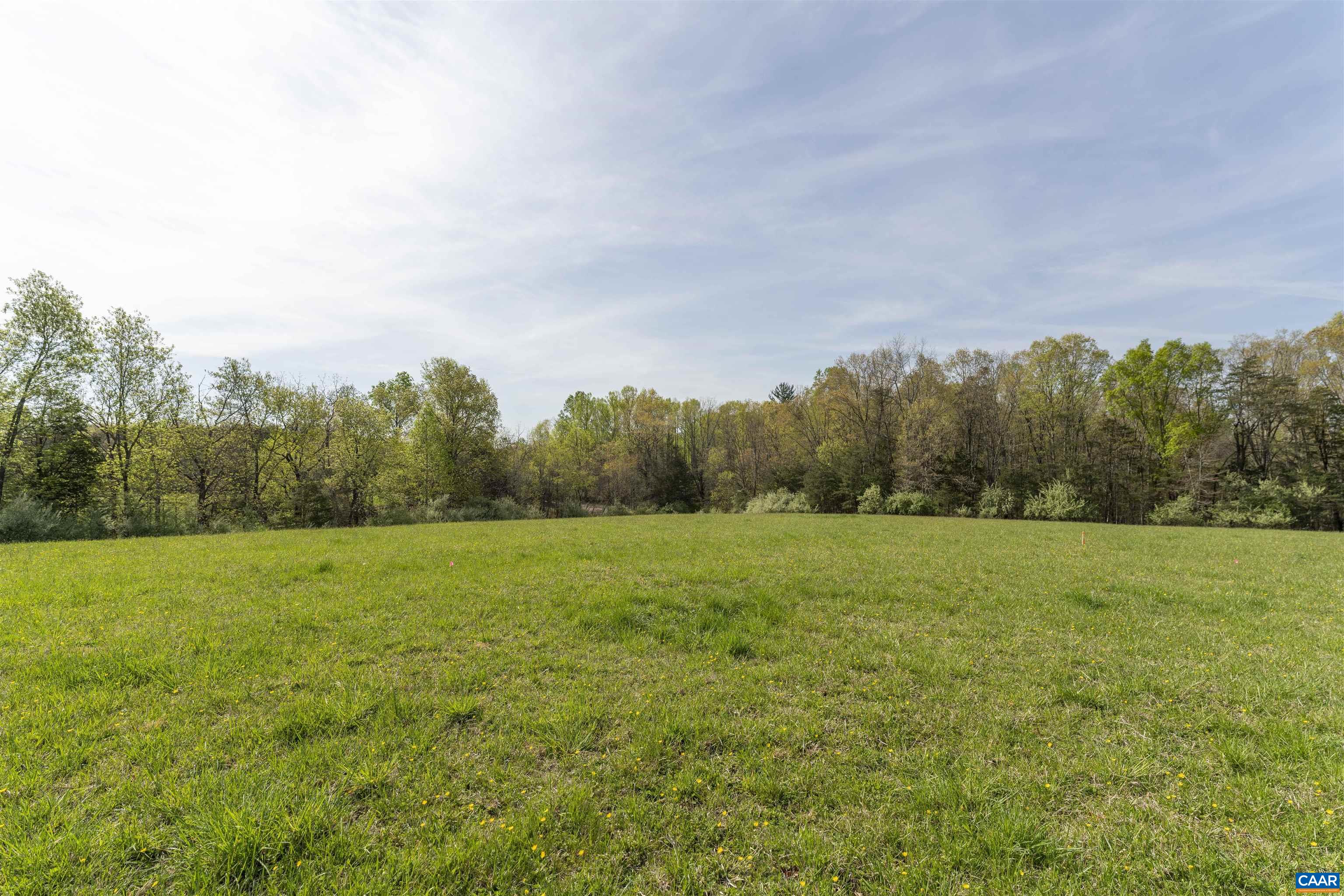 Tbd Black Hill Road Rixeyville, VA 22737 - Photo 9 of 40