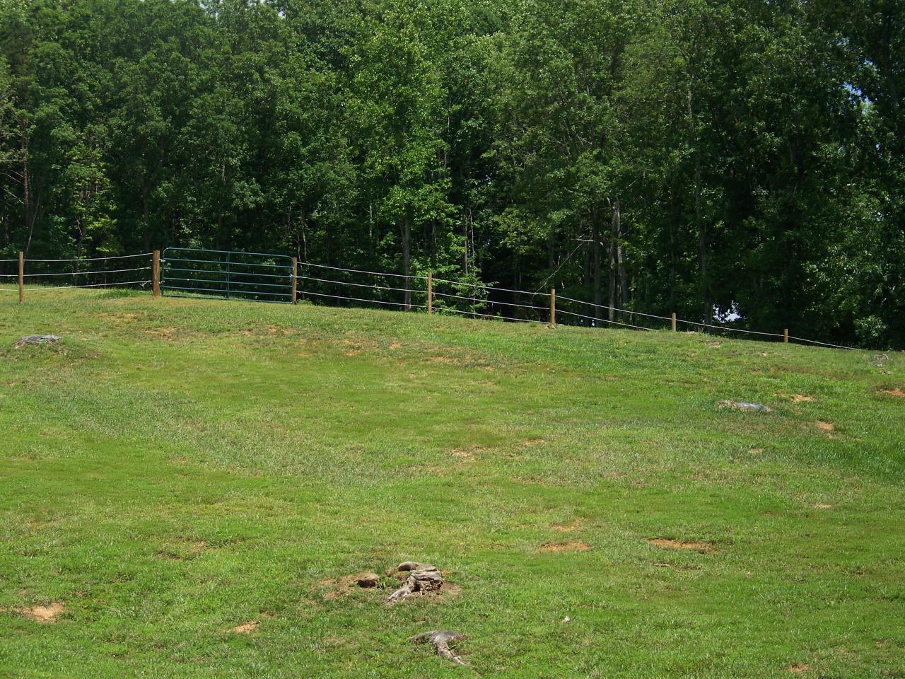 672 Lees Gap Road Fincastle, VA 24090 - Photo 3 of 37 Views