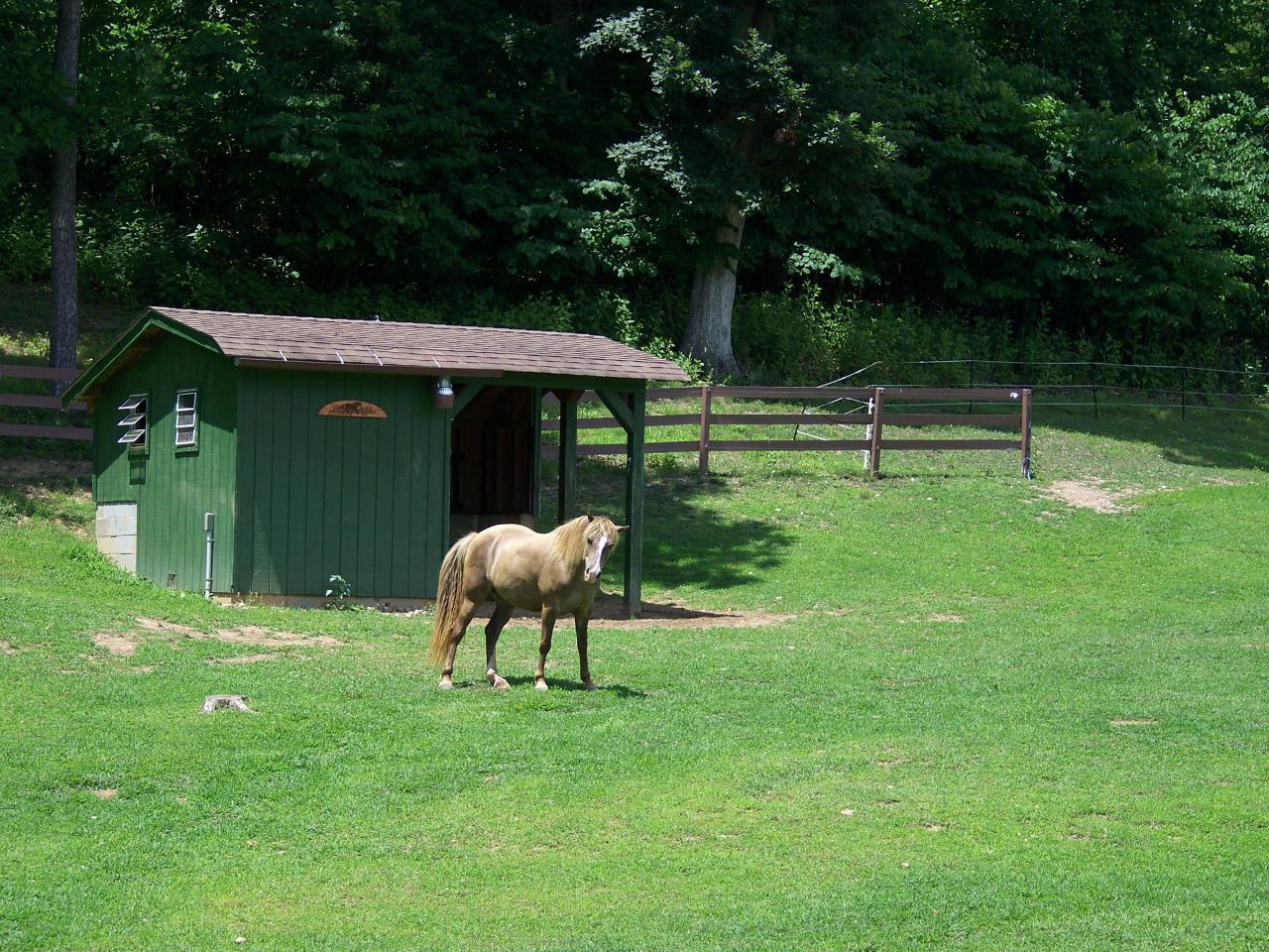 672 Lees Gap Road Fincastle, VA 24090 - Photo 4 of 37 Shed