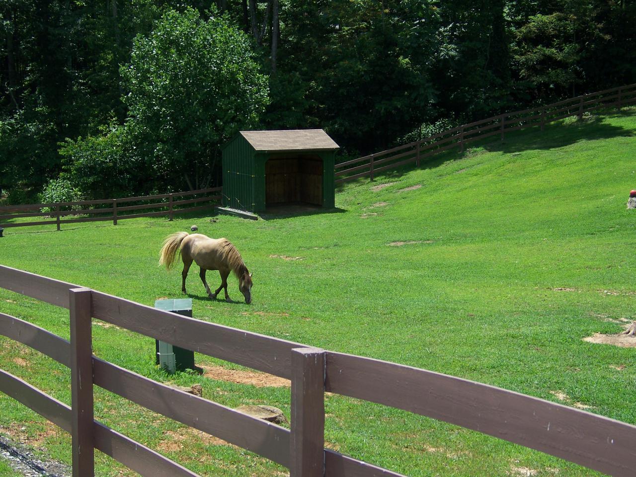 672 Lees Gap Road Fincastle, VA 24090 - Photo 8 of 37 View