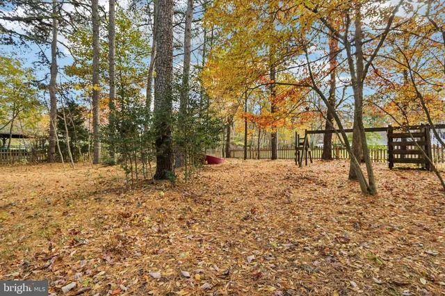 a view of a yard with plants and trees