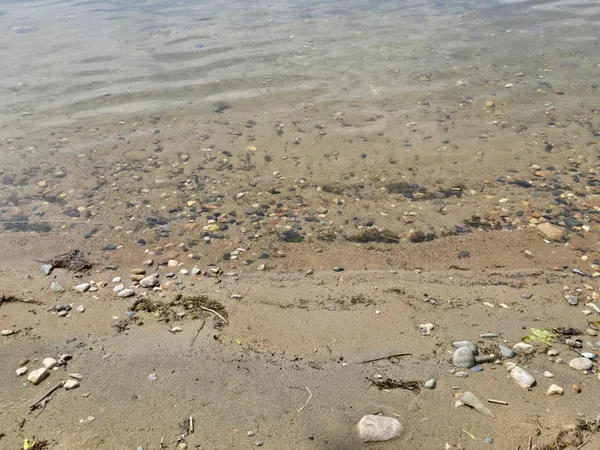 $179,000 | 29501 Maplewood Road, Unit HORSESHOE, Callaway, MN 56521