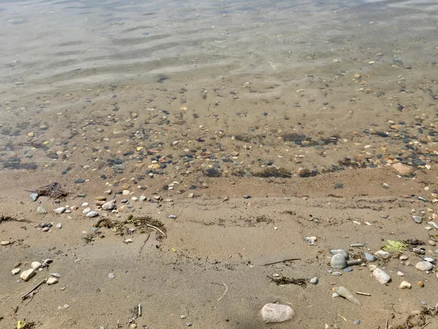 $179,000 | 29501 Maplewood Road, Unit HORSESHOE, Callaway, MN 56521