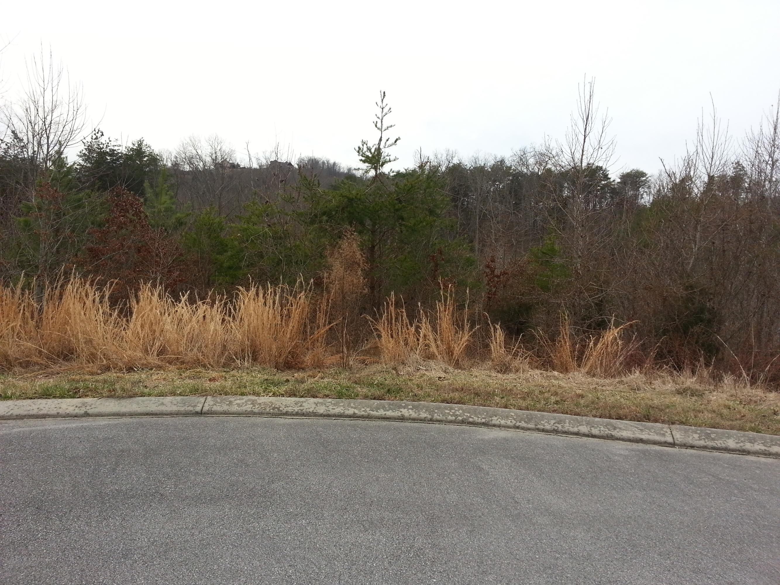 Greystone Dayton, TN 37321 - Photo 1 of 8 20140306_130605