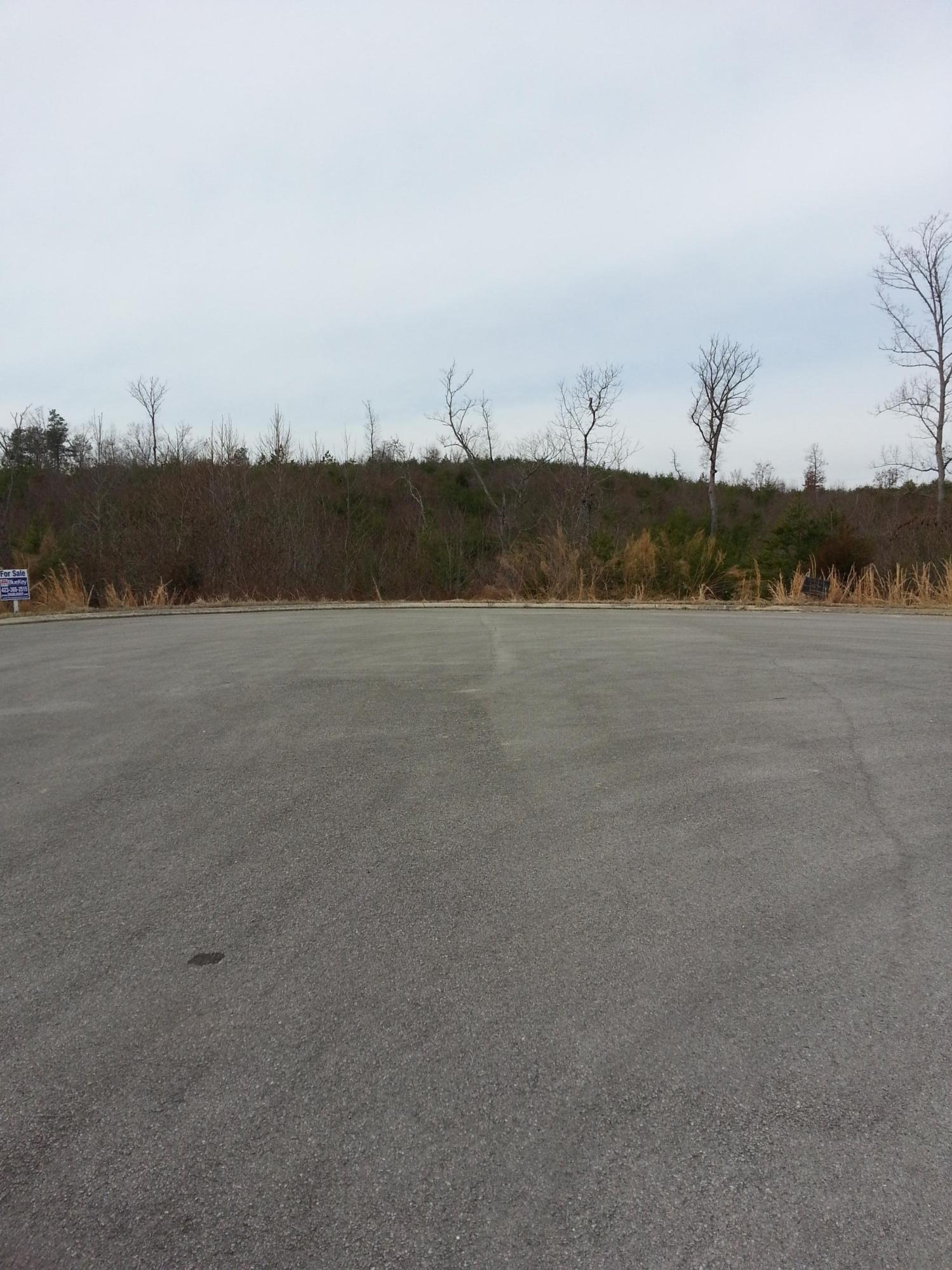 Greystone Dayton, TN 37321 - Photo 2 of 8 20140306_131112