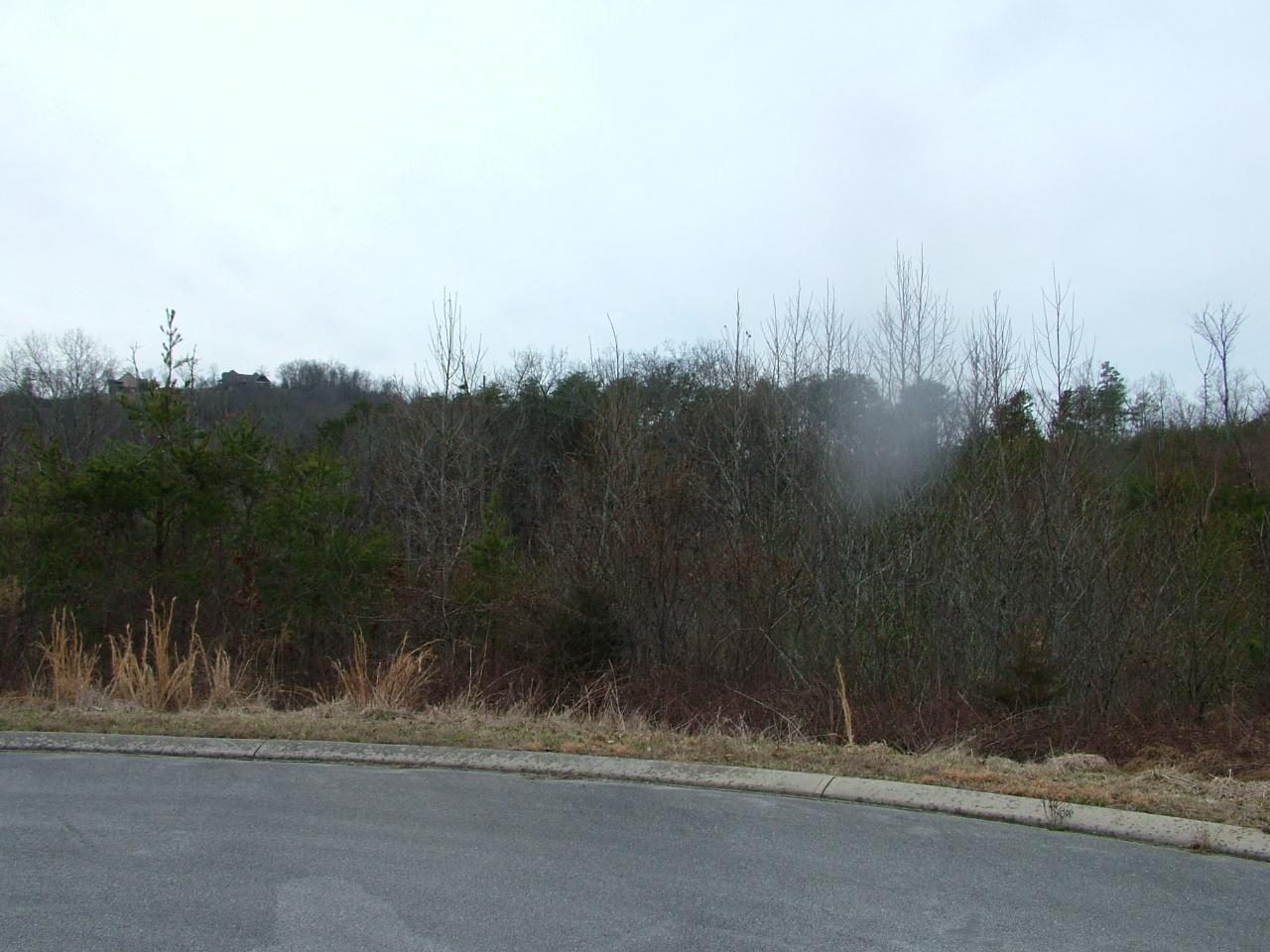 Greystone Dayton, TN 37321 - Photo 3 of 8 2002-11-11 20