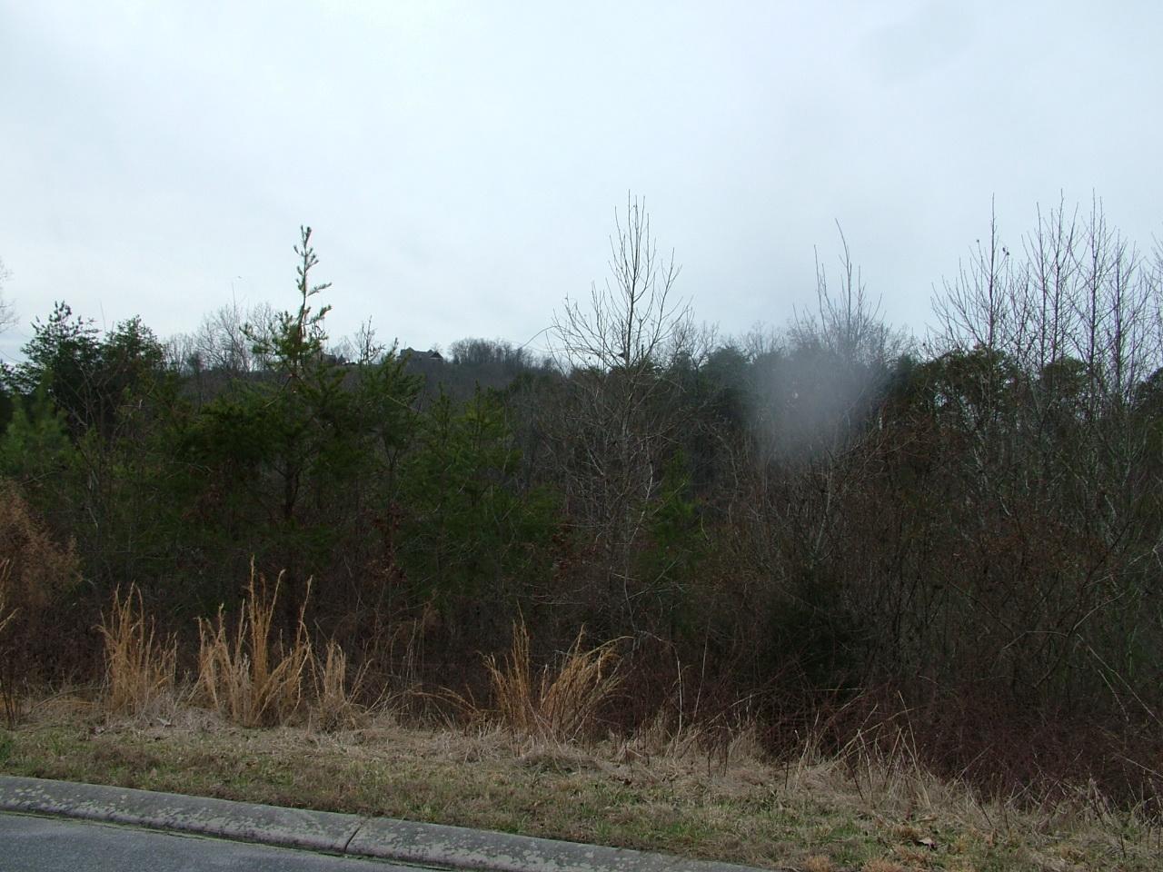 Greystone Dayton, TN 37321 - Photo 4 of 8 2002-11-11 20