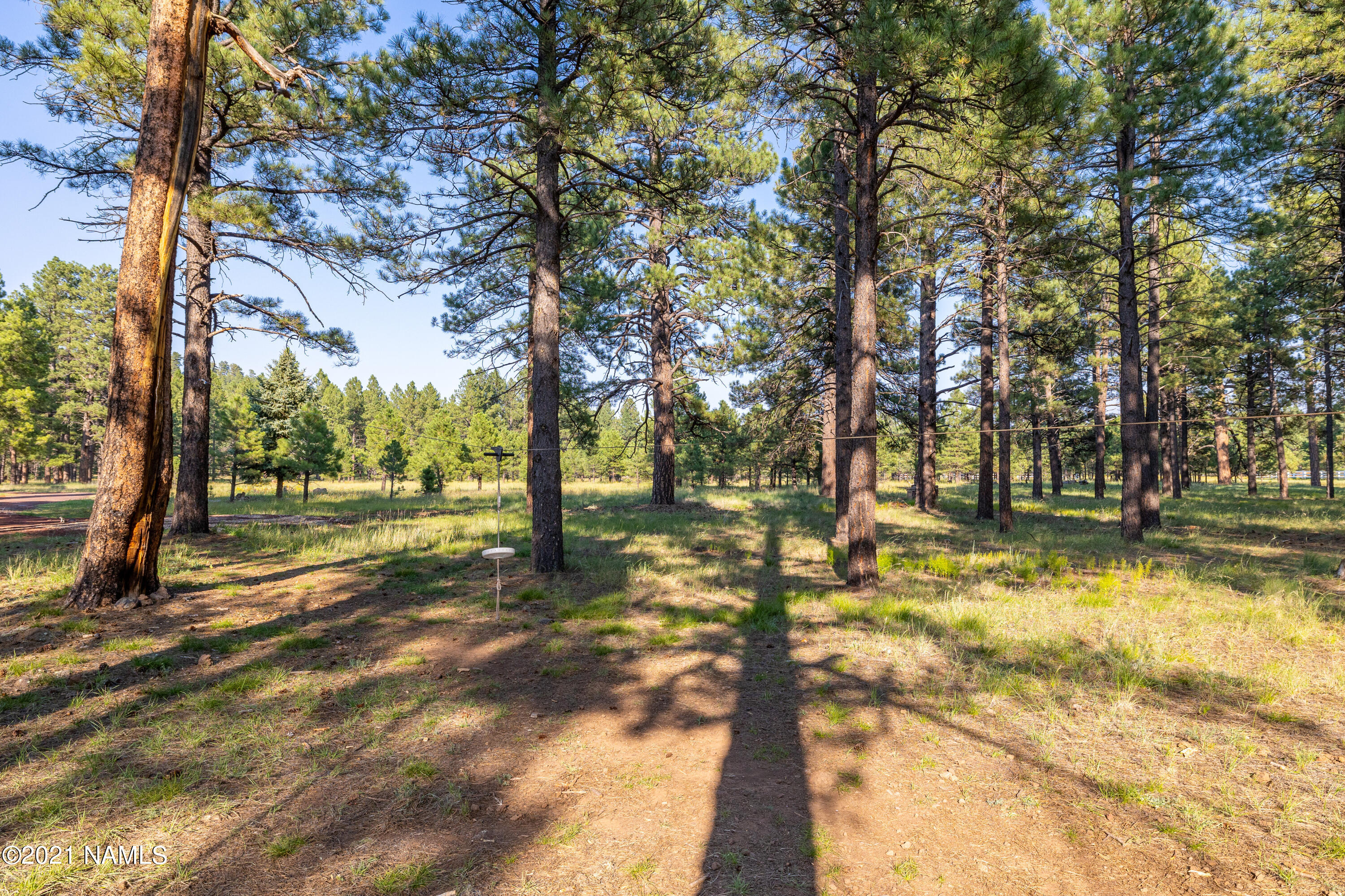 12682 East Lillie J Ranch Road Parks, AZ 86018 - Photo 15 of 94 CP--25