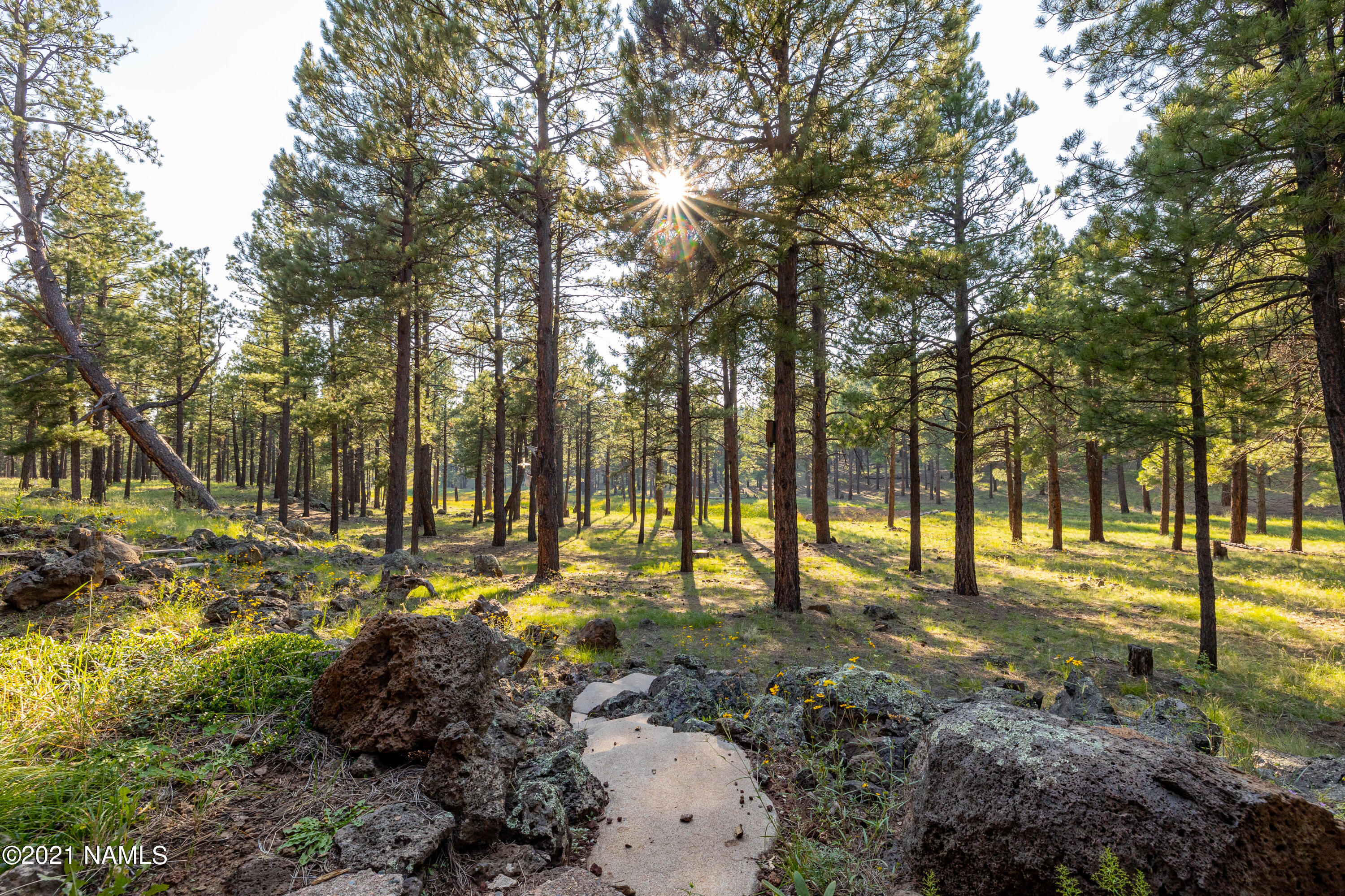 12682 East Lillie J Ranch Road Parks, AZ 86018 - Photo 27 of 94 CP--36