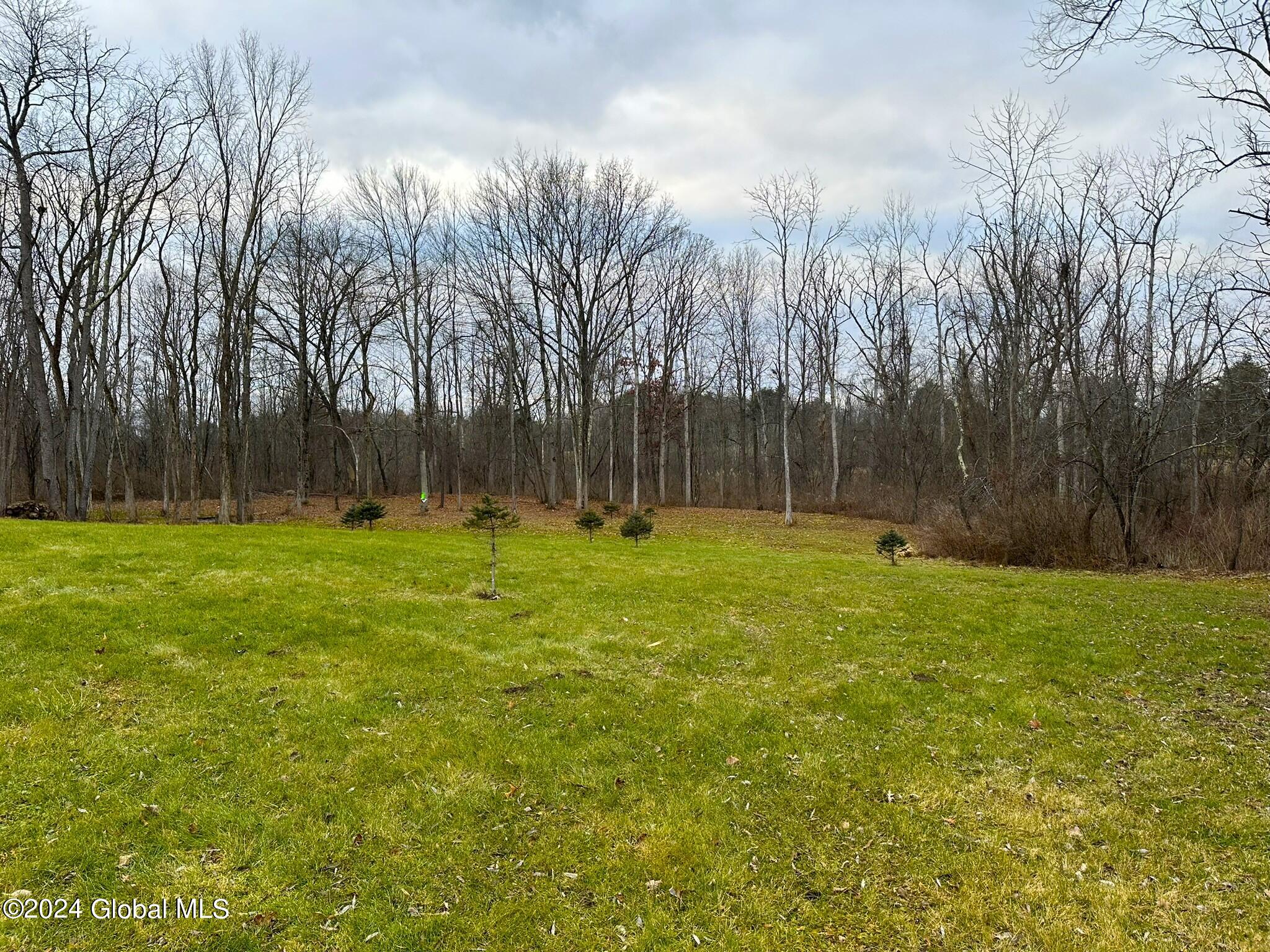 352 Consaul Road Colonie, NY 12205 - Photo 1 of 12 IMG_6691