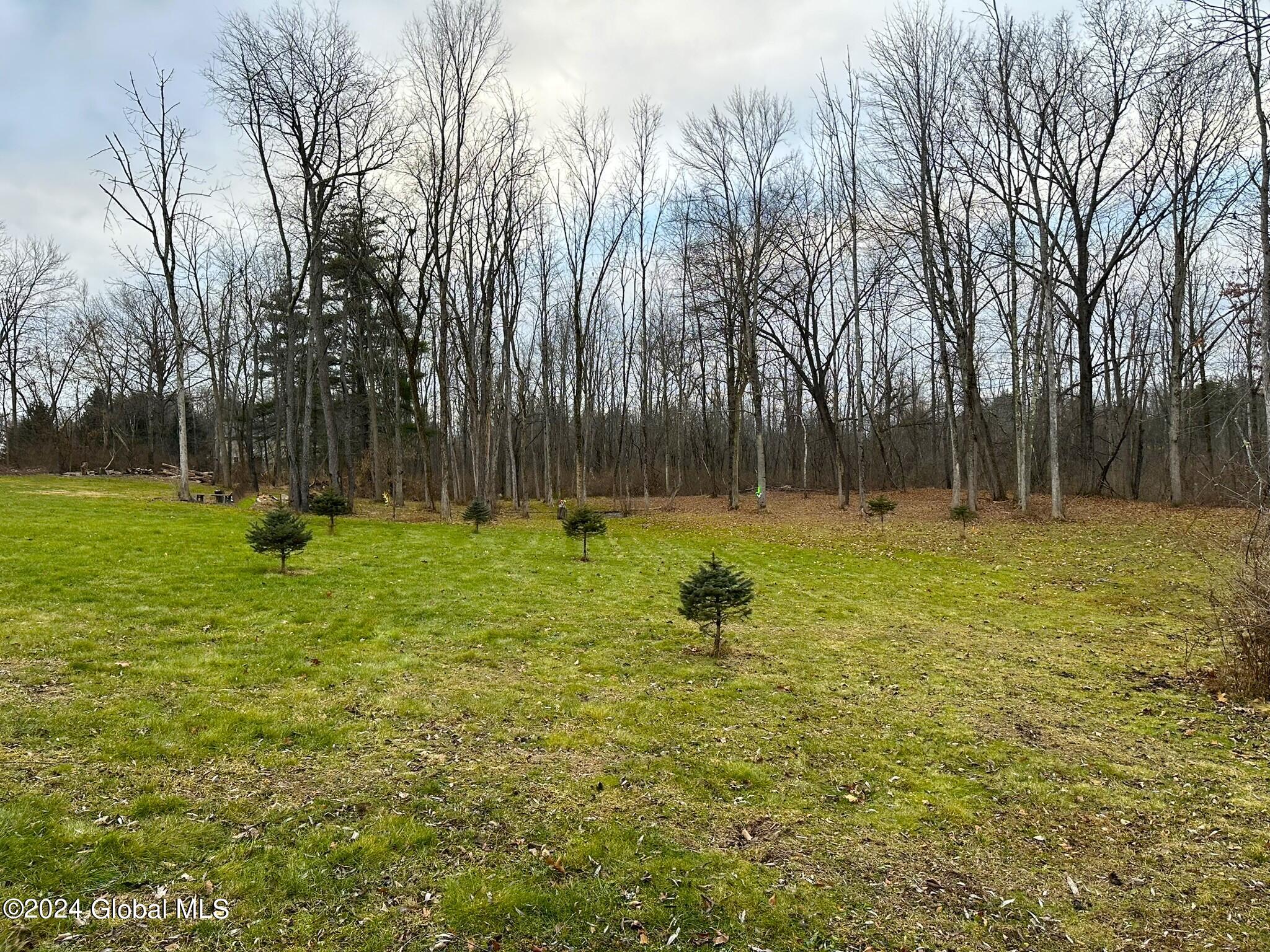352 Consaul Road Colonie, NY 12205 - Photo 2 of 12 IMG_6693