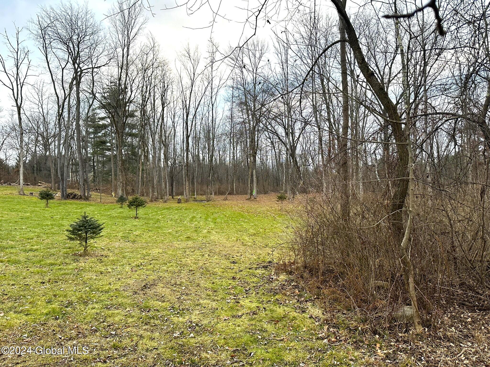 352 Consaul Road Colonie, NY 12205 - Photo 4 of 12 IMG_6695