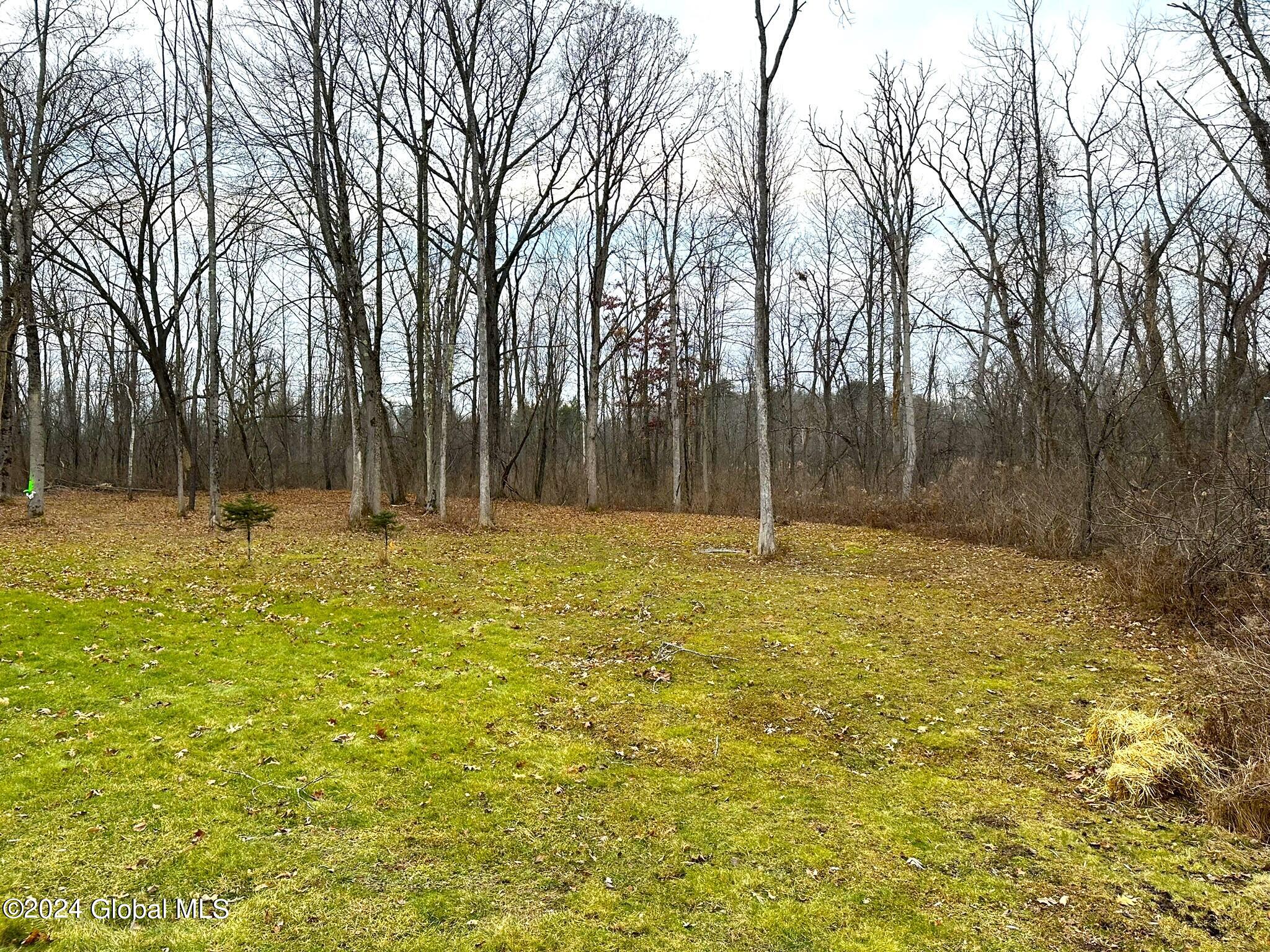 352 Consaul Road Colonie, NY 12205 - Photo 5 of 12 IMG_6696
