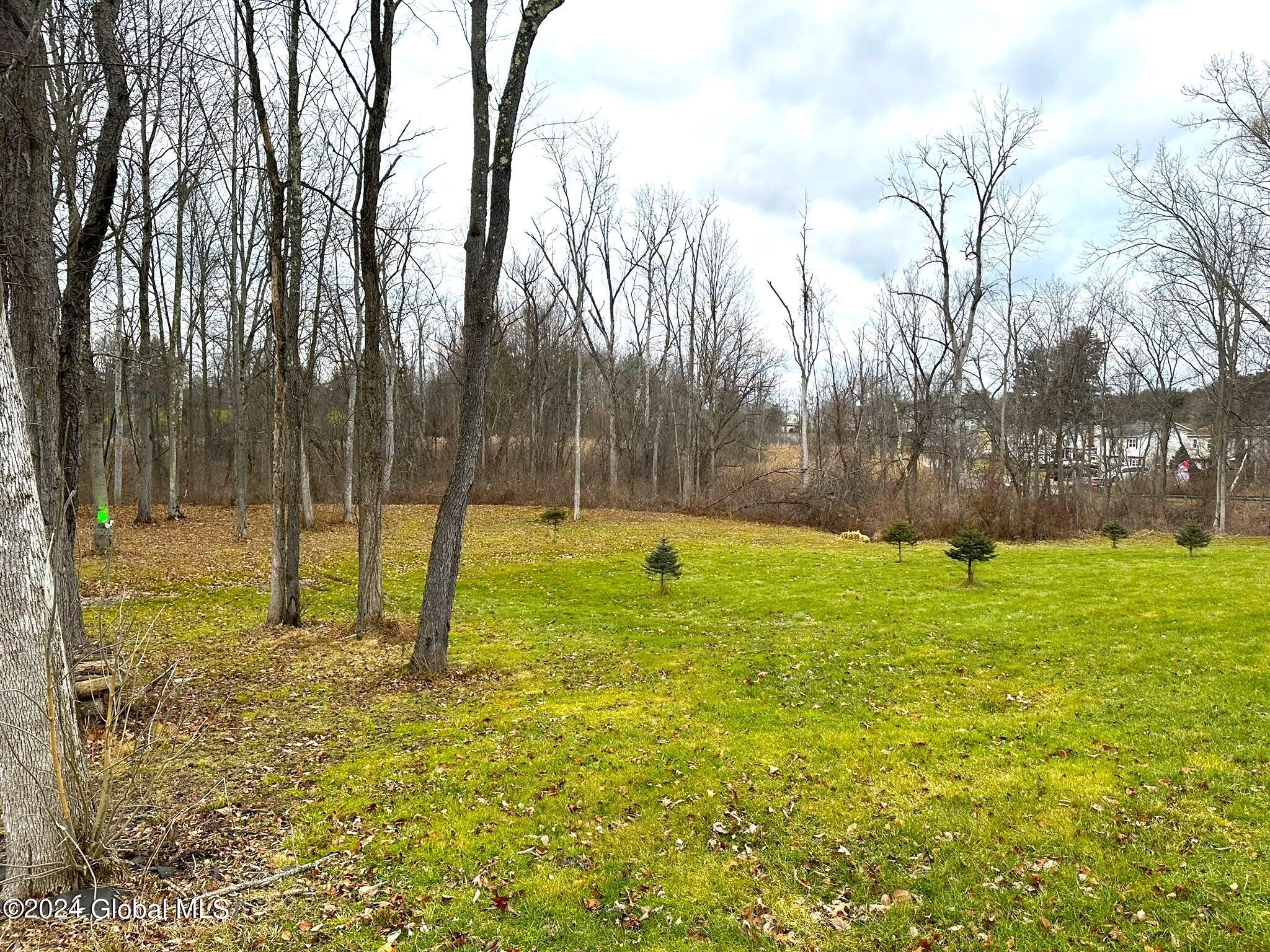 352 Consaul Road Colonie, NY 12205 - Photo 7 of 12 IMG_6698