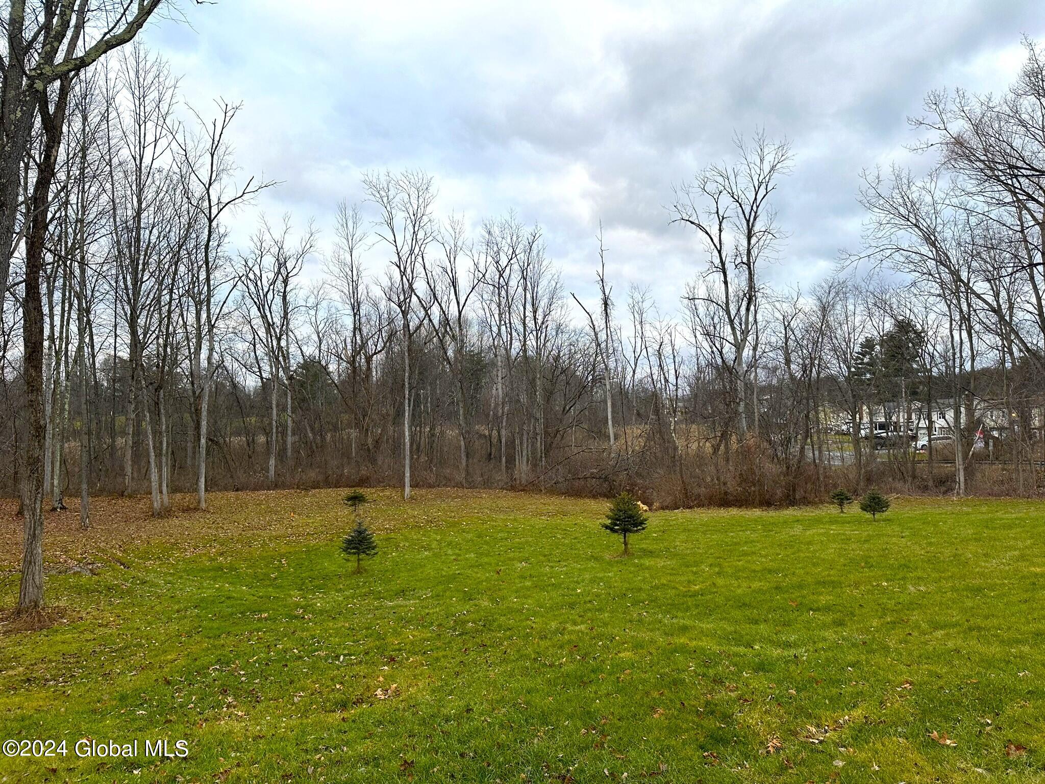 352 Consaul Road Colonie, NY 12205 - Photo 8 of 12 IMG_6699
