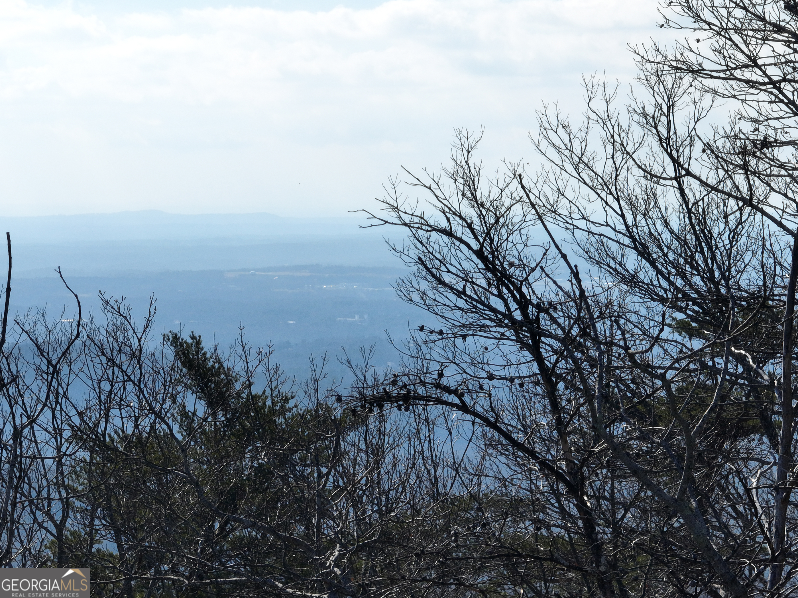 246 Andes Ridge Jasper, GA 30143 - Photo 12 of 39 a view of a space with lots of trees in the background