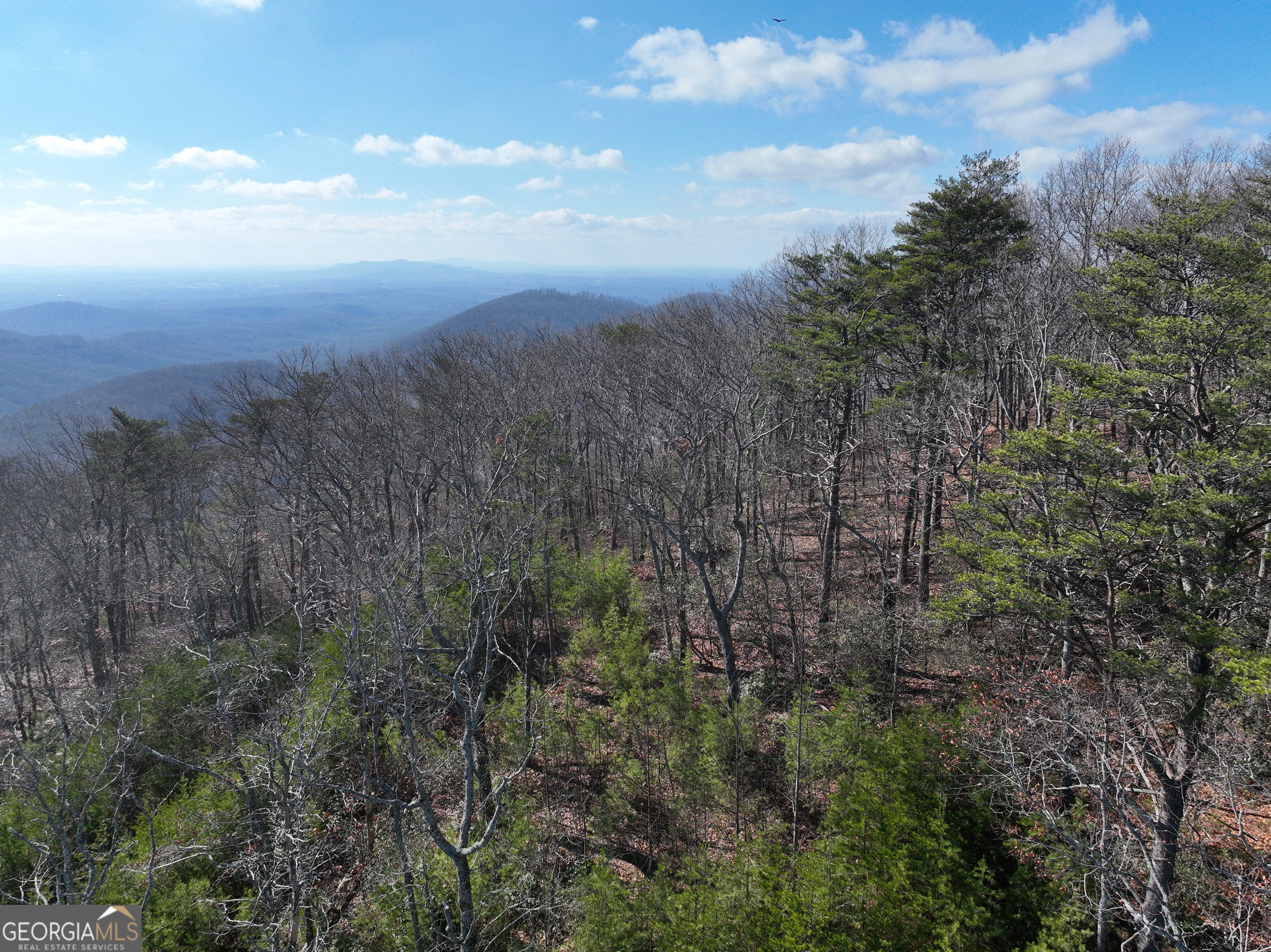 246 Andes Ridge Jasper, GA 30143 - Photo 20 of 39 a view of a building in forest