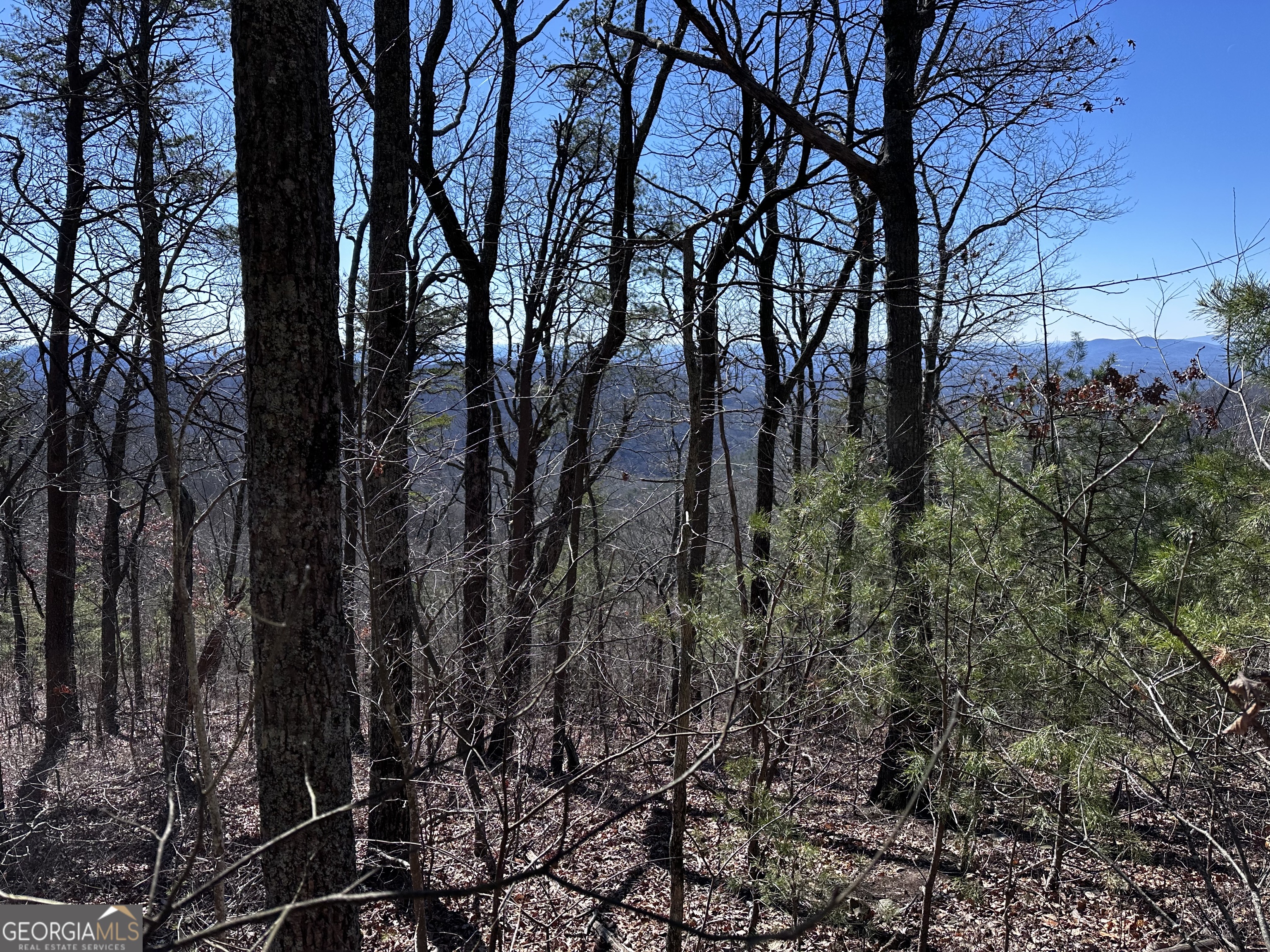 246 Andes Ridge Jasper, GA 30143 - Photo 2 of 39 a view of a forest