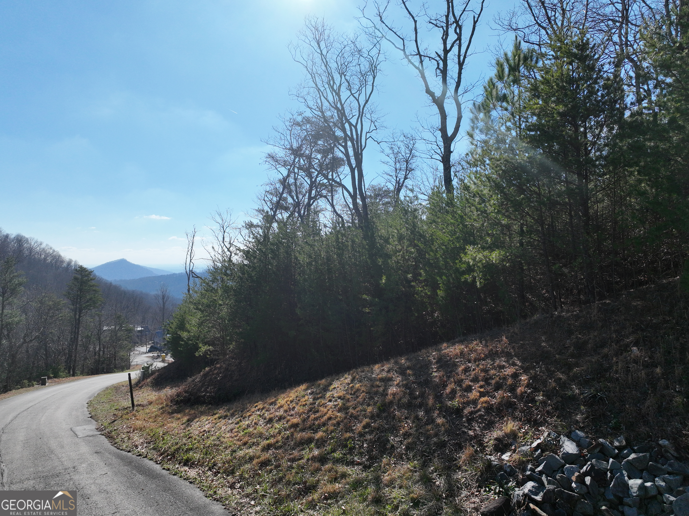 246 Andes Ridge Jasper, GA 30143 - Photo 24 of 39 a backyard of a house with large trees