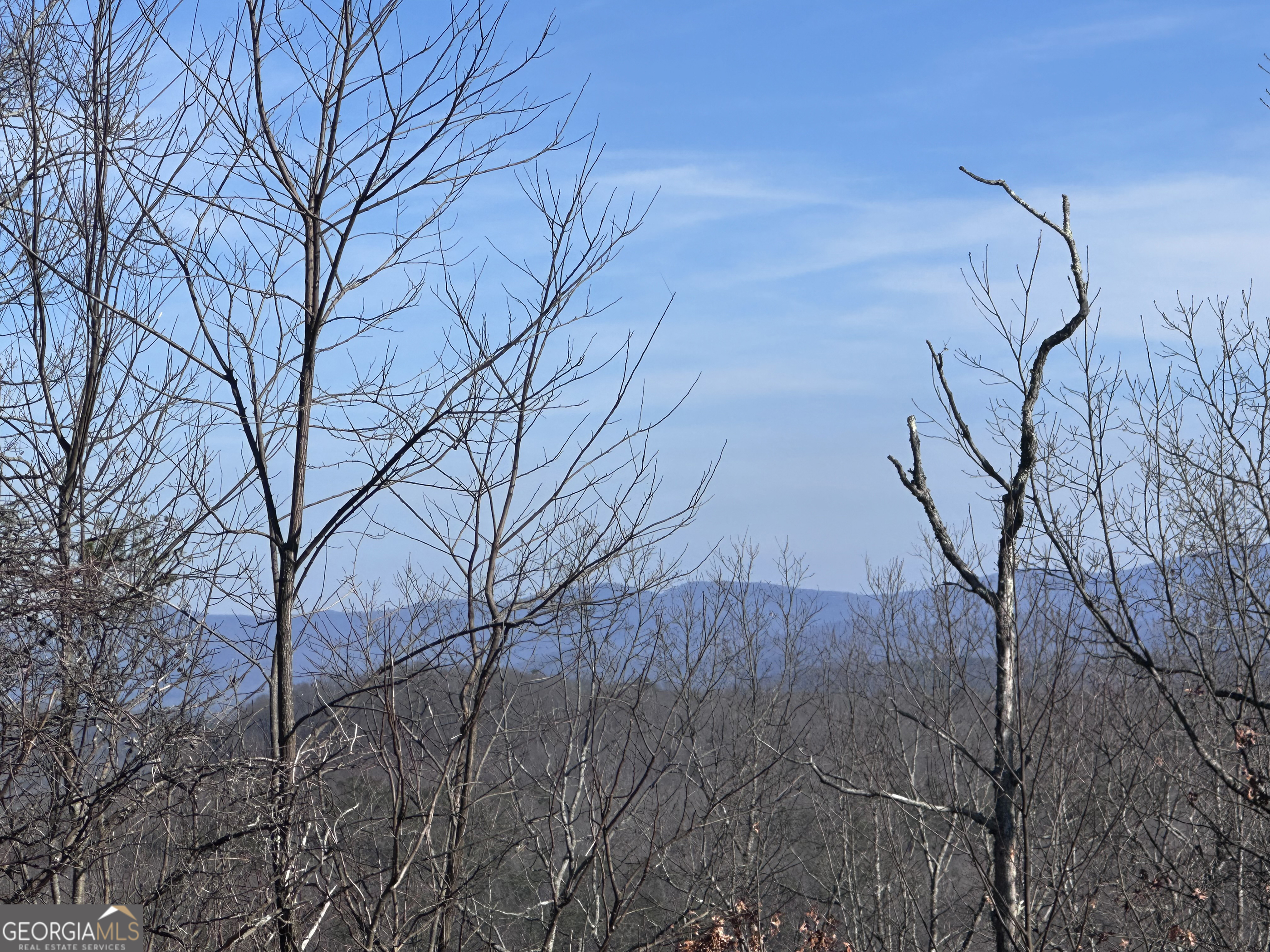 246 Andes Ridge Jasper, GA 30143 - Photo 25 of 39 a backyard of a house with lots of green space